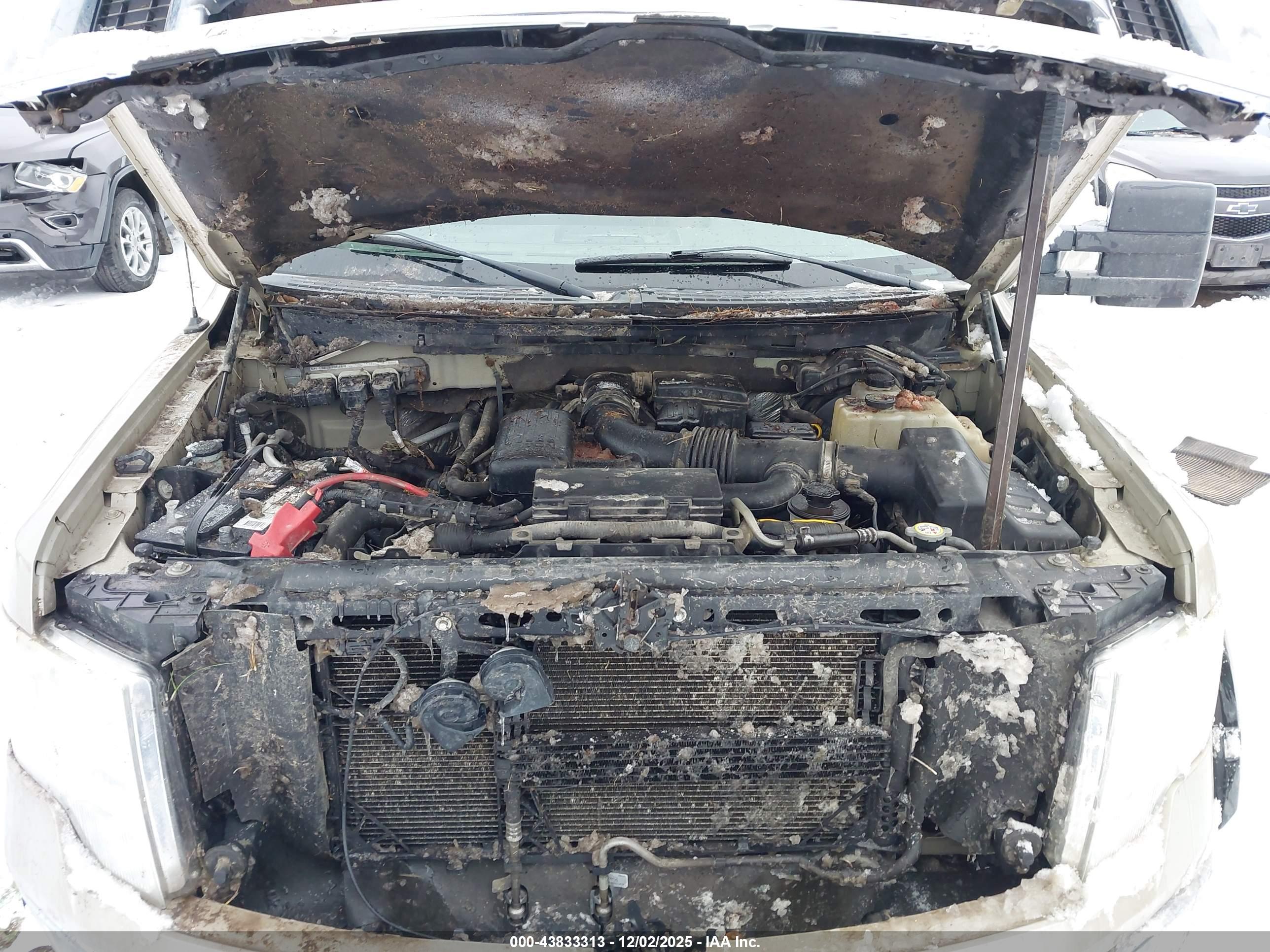 FORD F-150 image 10