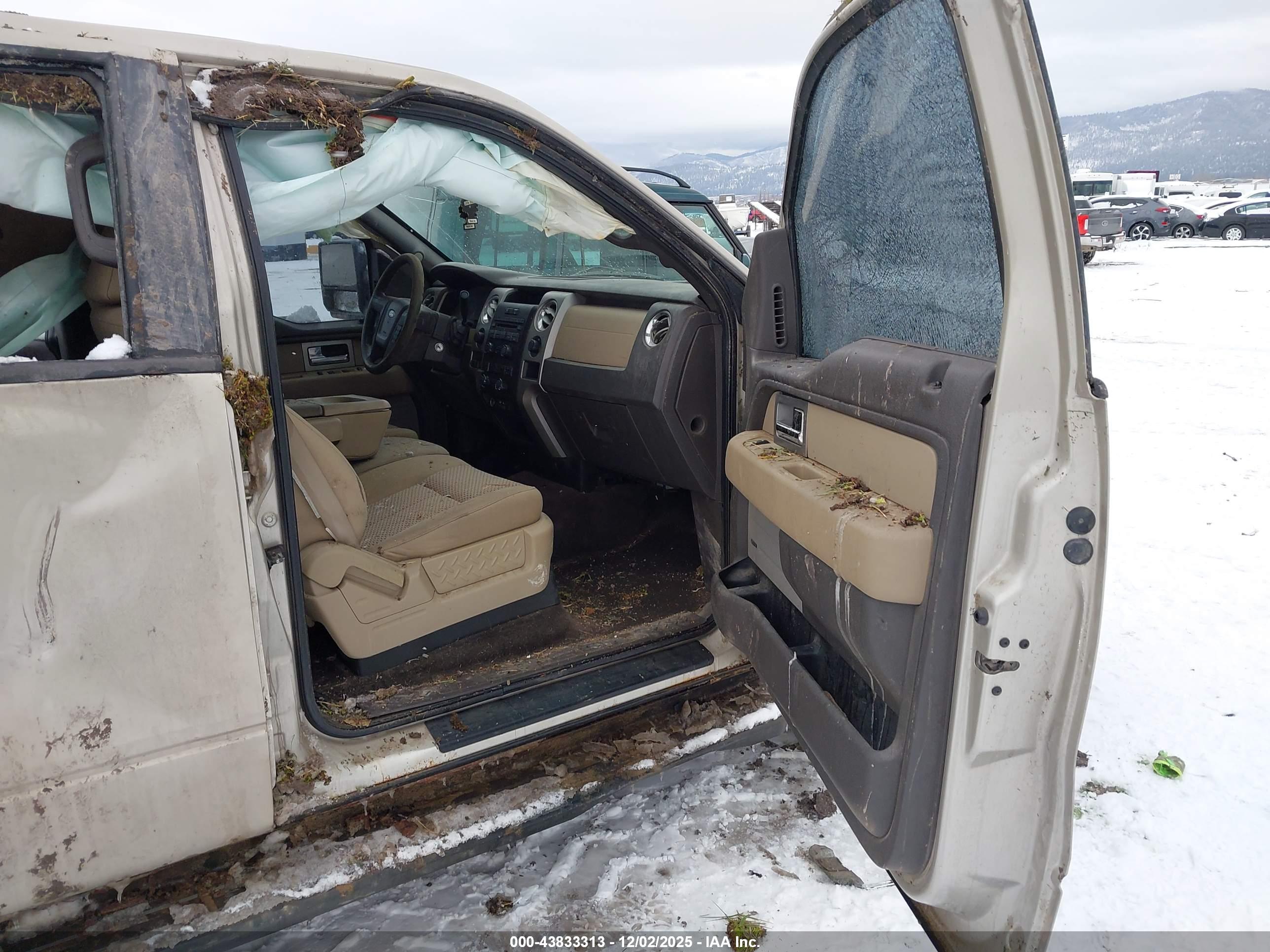 FORD F-150 image 5