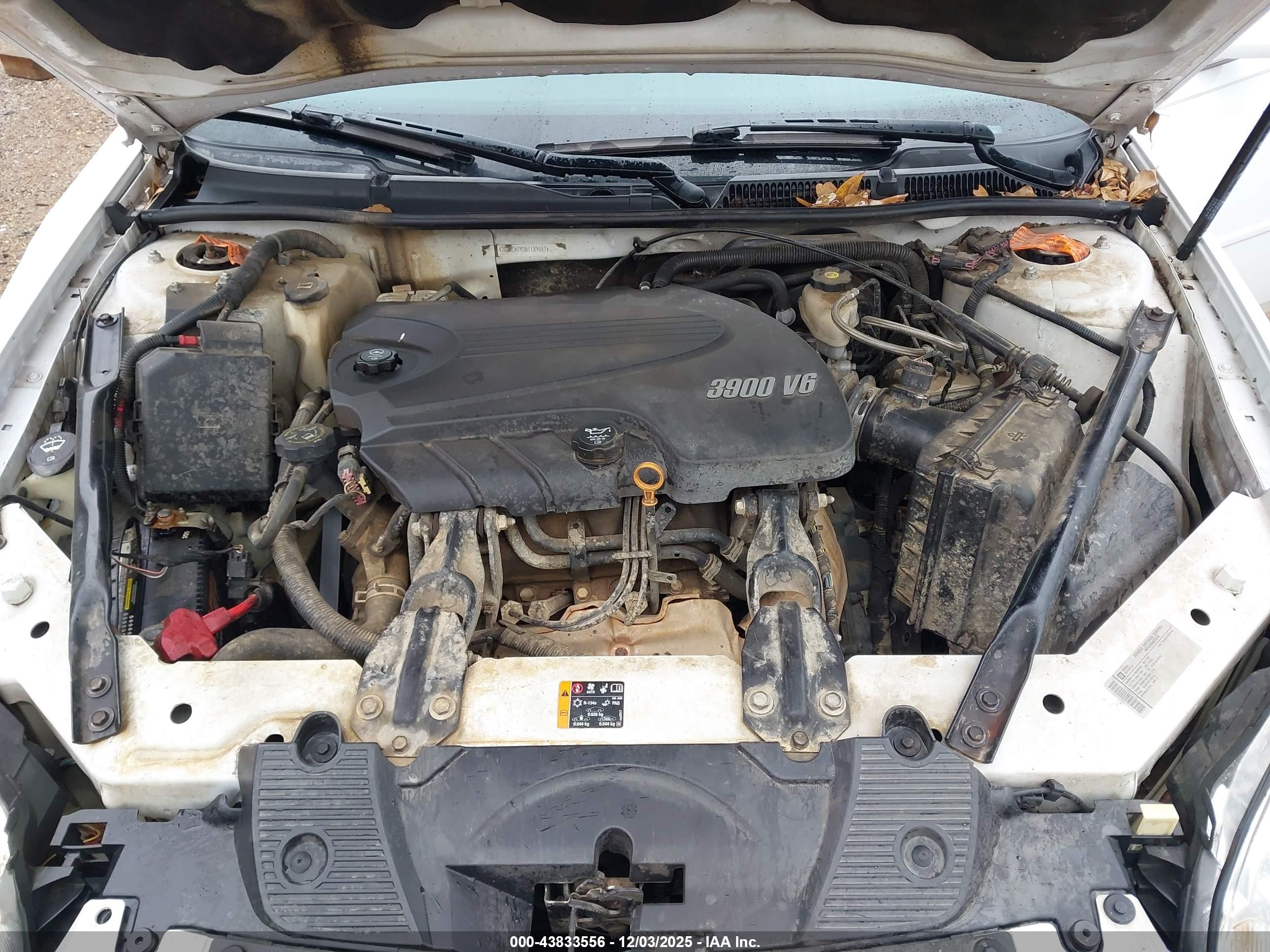 CHEVROLET IMPALA image 10