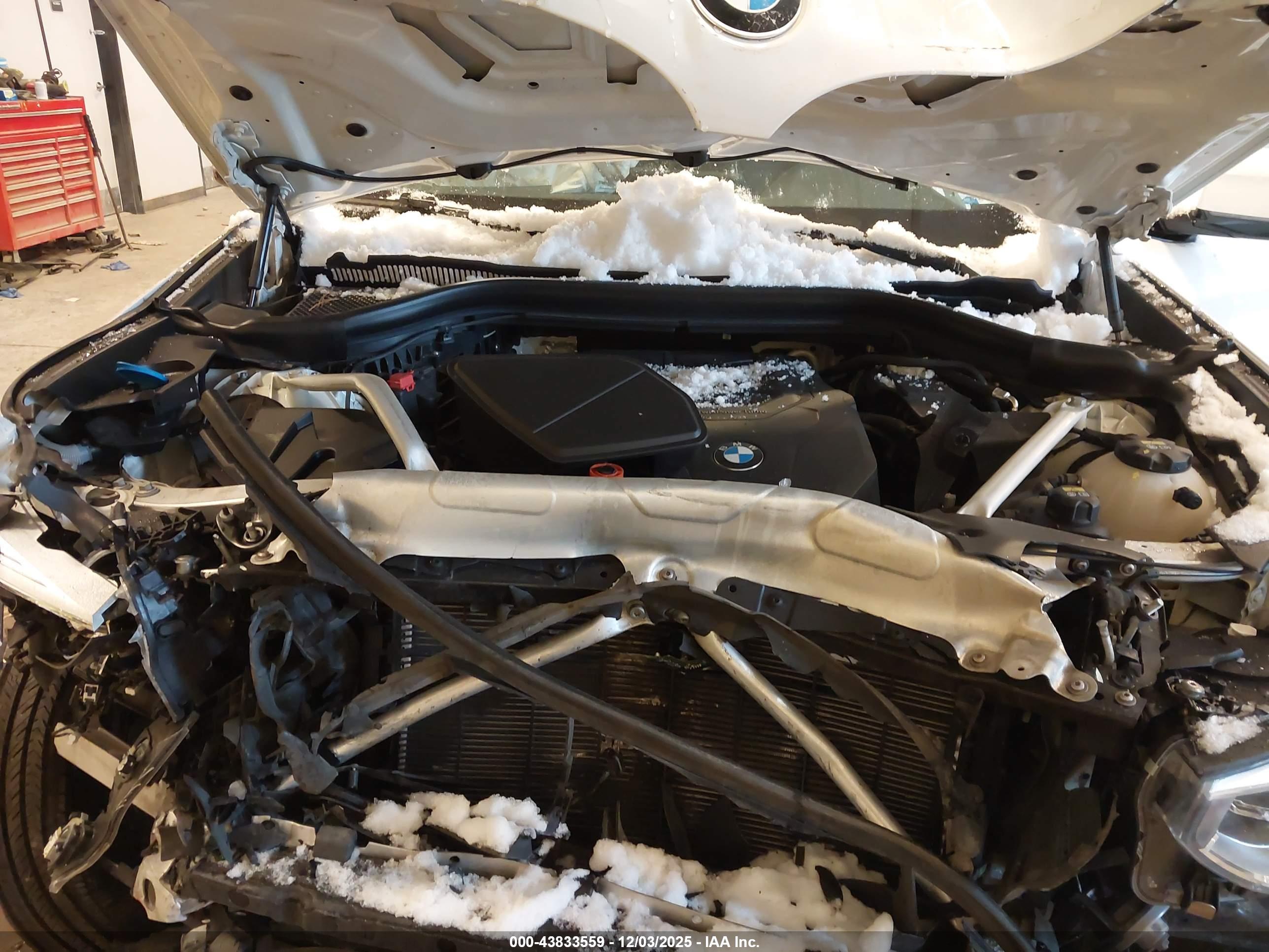 BMW X4 image 10