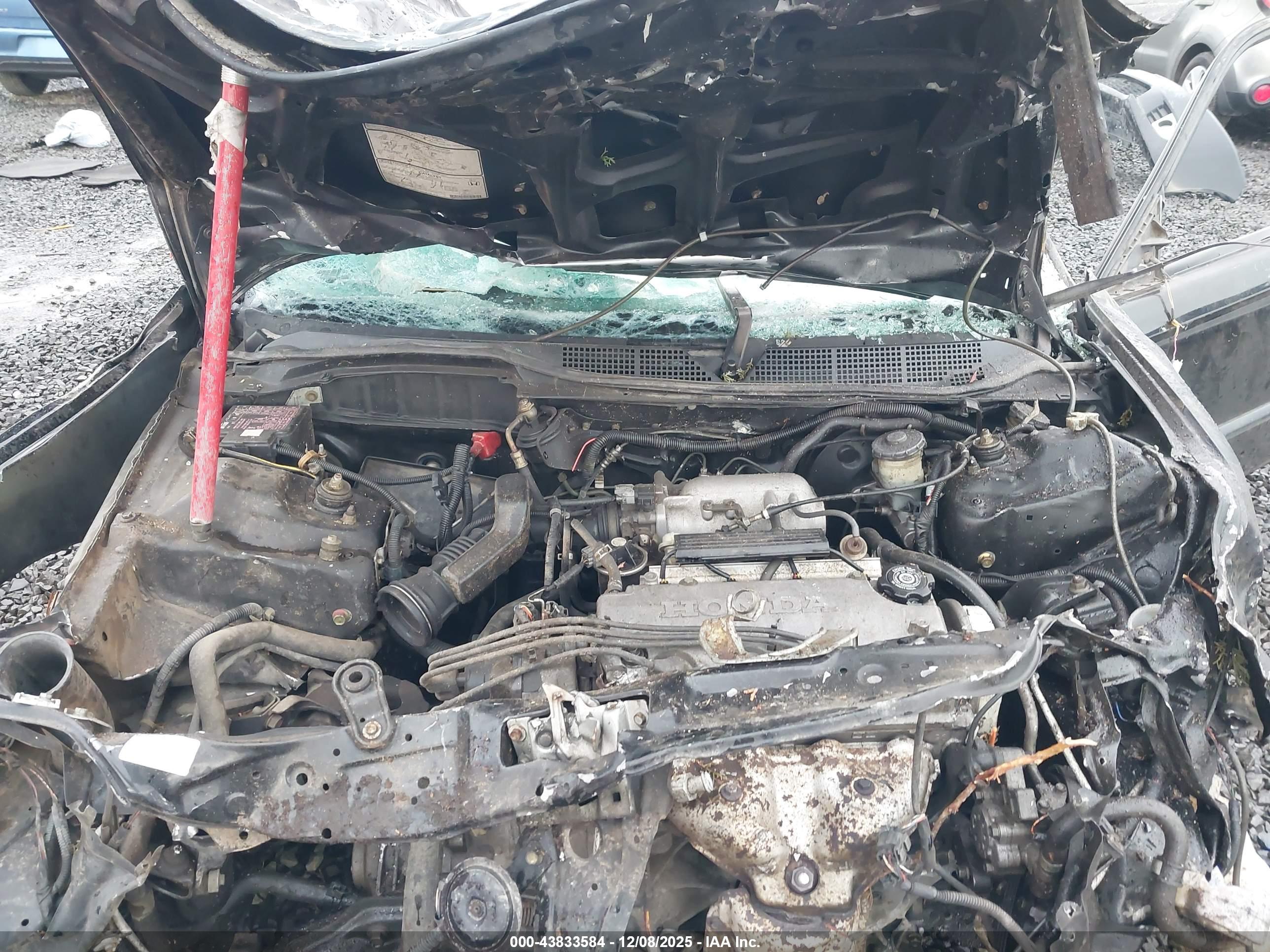 HONDA CIVIC image 10