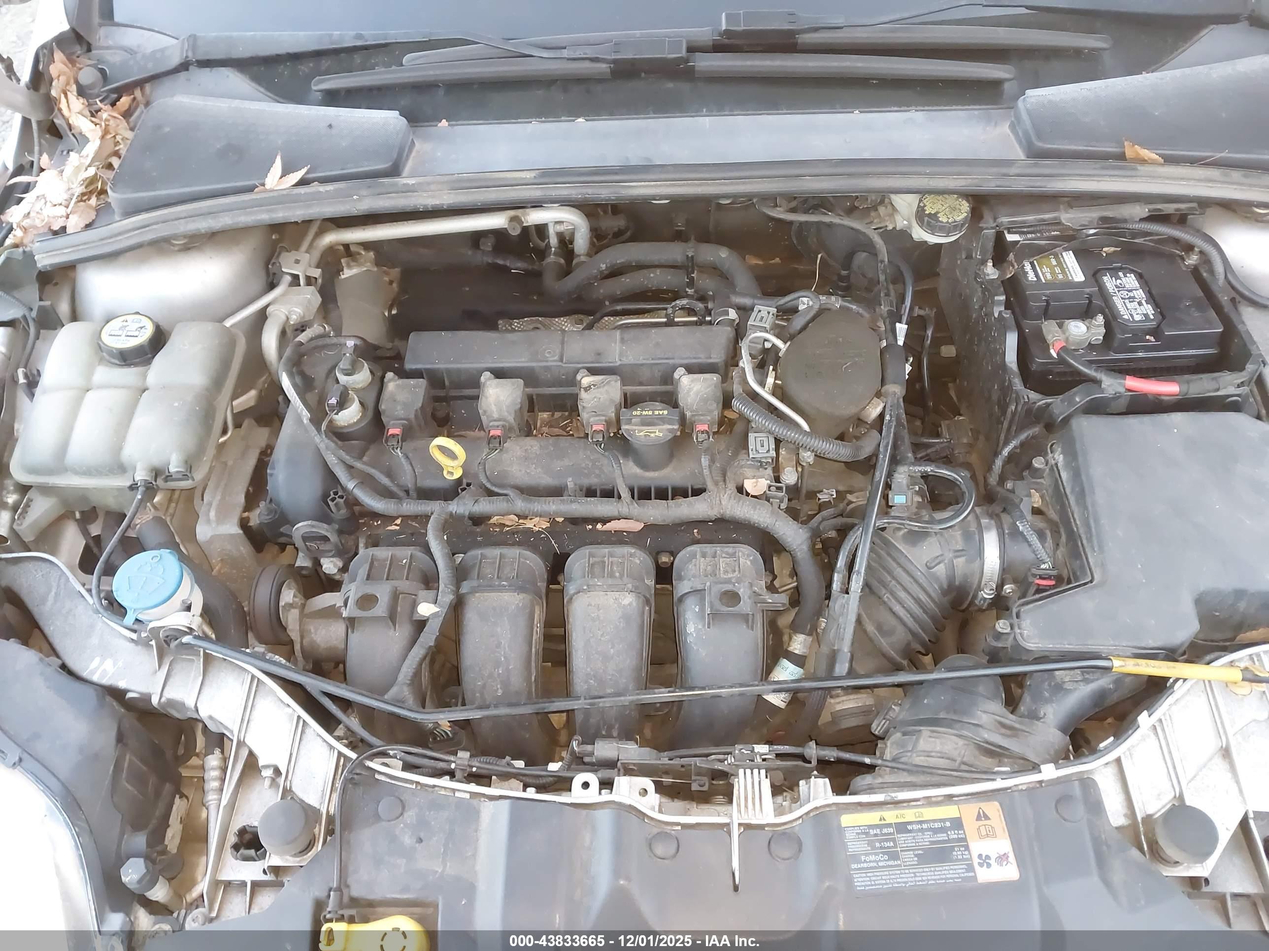 FORD FOCUS image 10