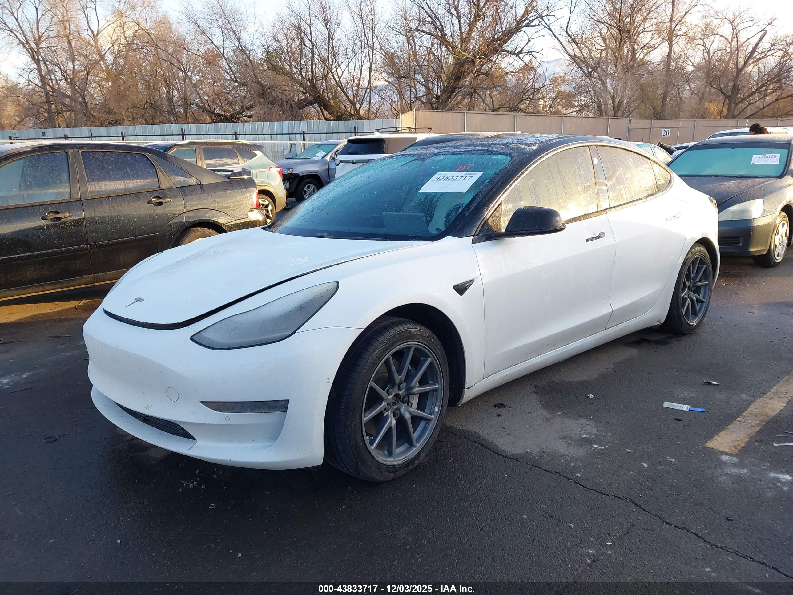 TESLA MODEL image 2