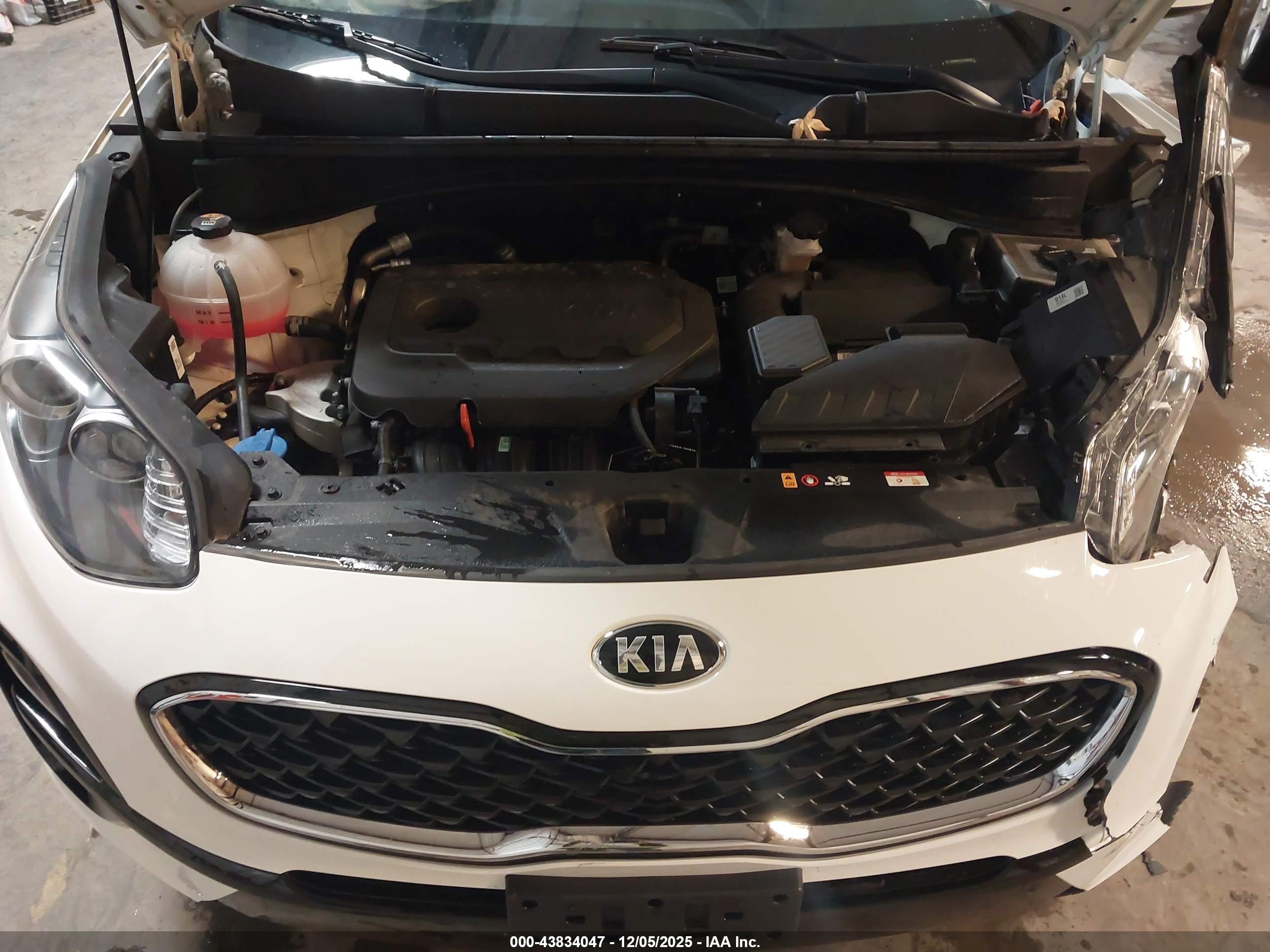 KIA SPORTAGE image 10