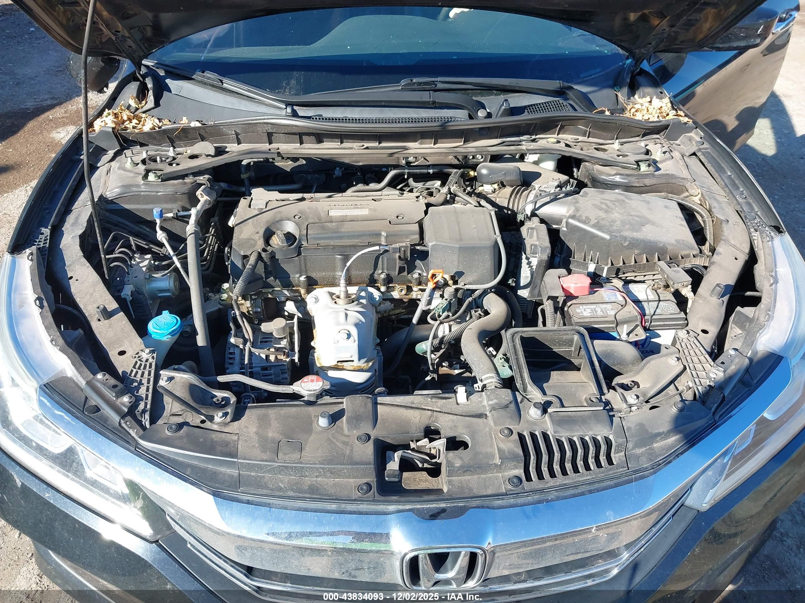 HONDA ACCORD image 10