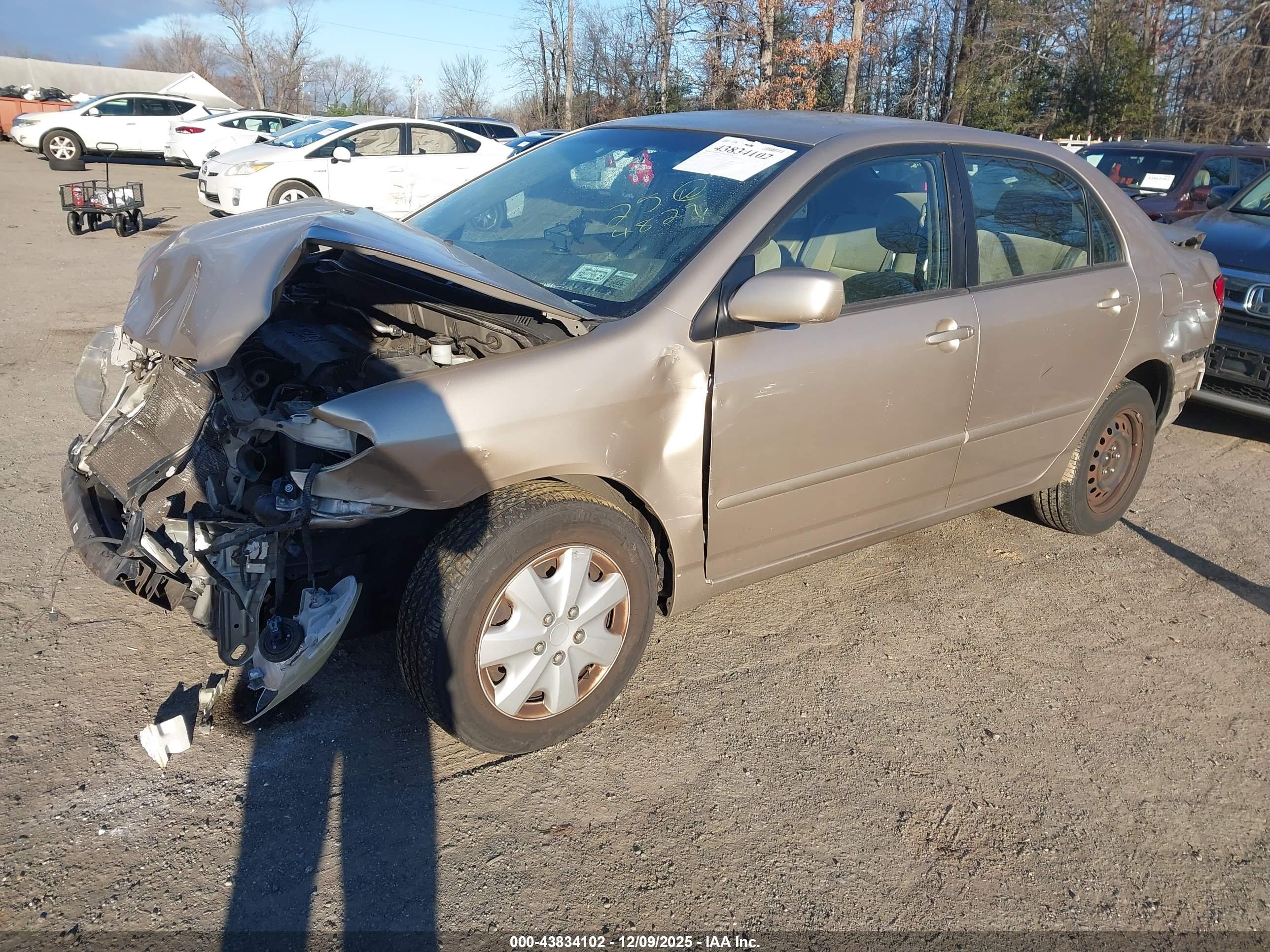 TOYOTA COROLLA image 2