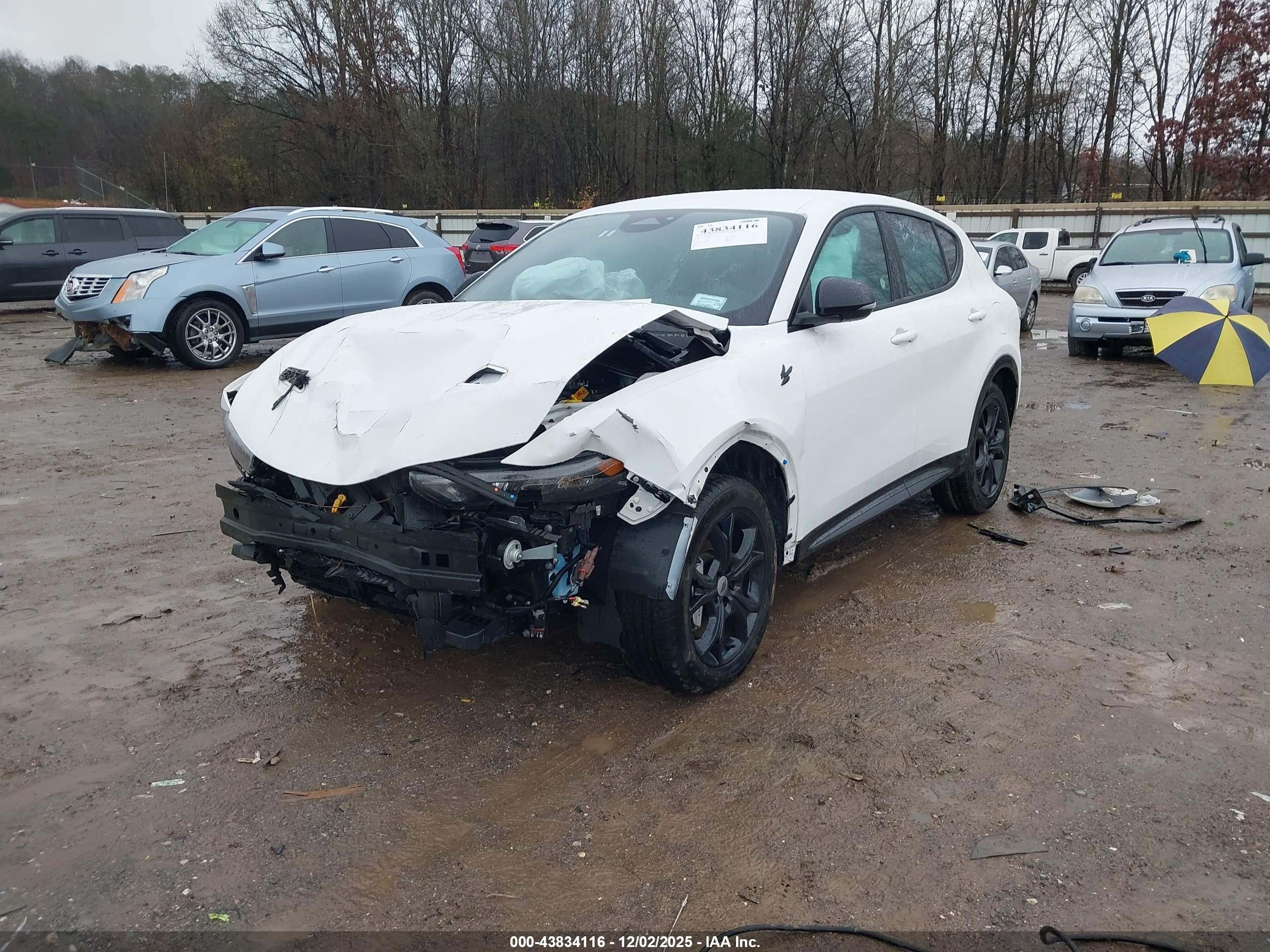 DODGE HORNET image 2