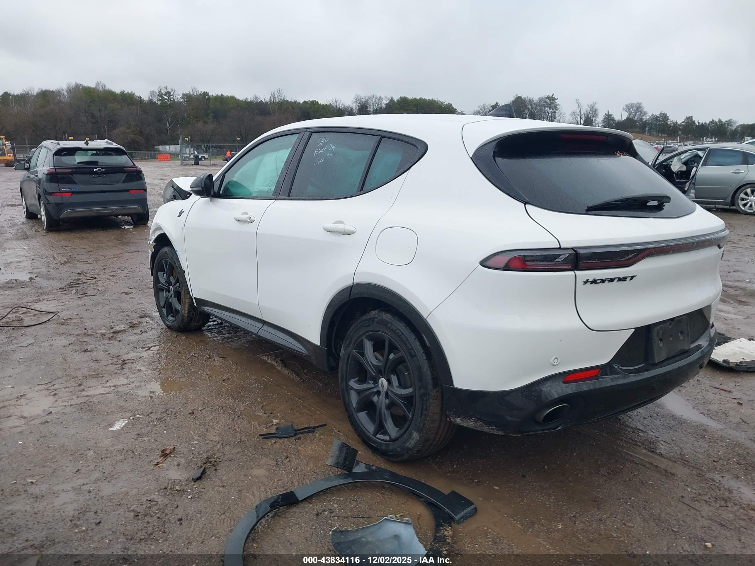 DODGE HORNET image 3