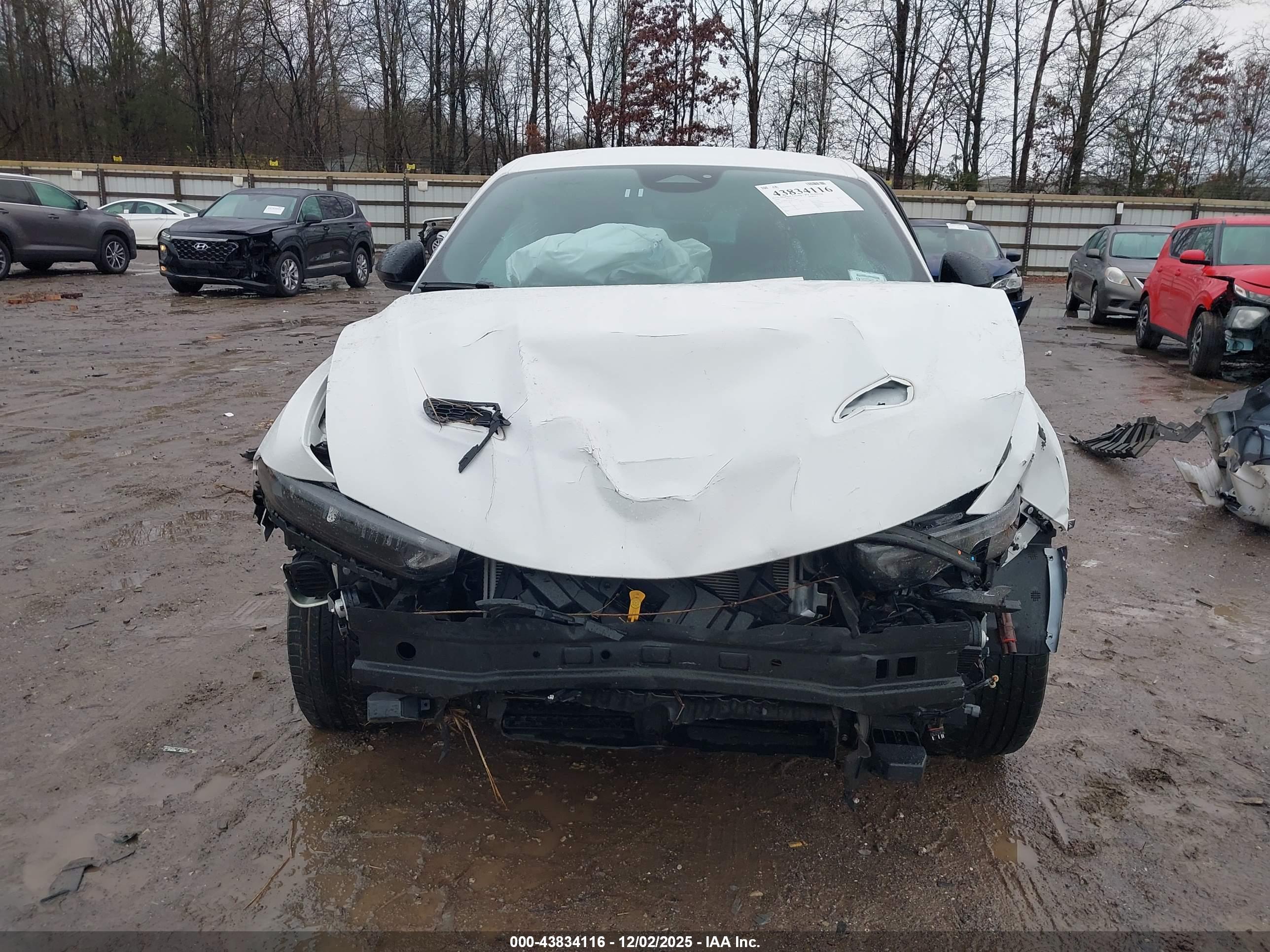 DODGE HORNET image 6