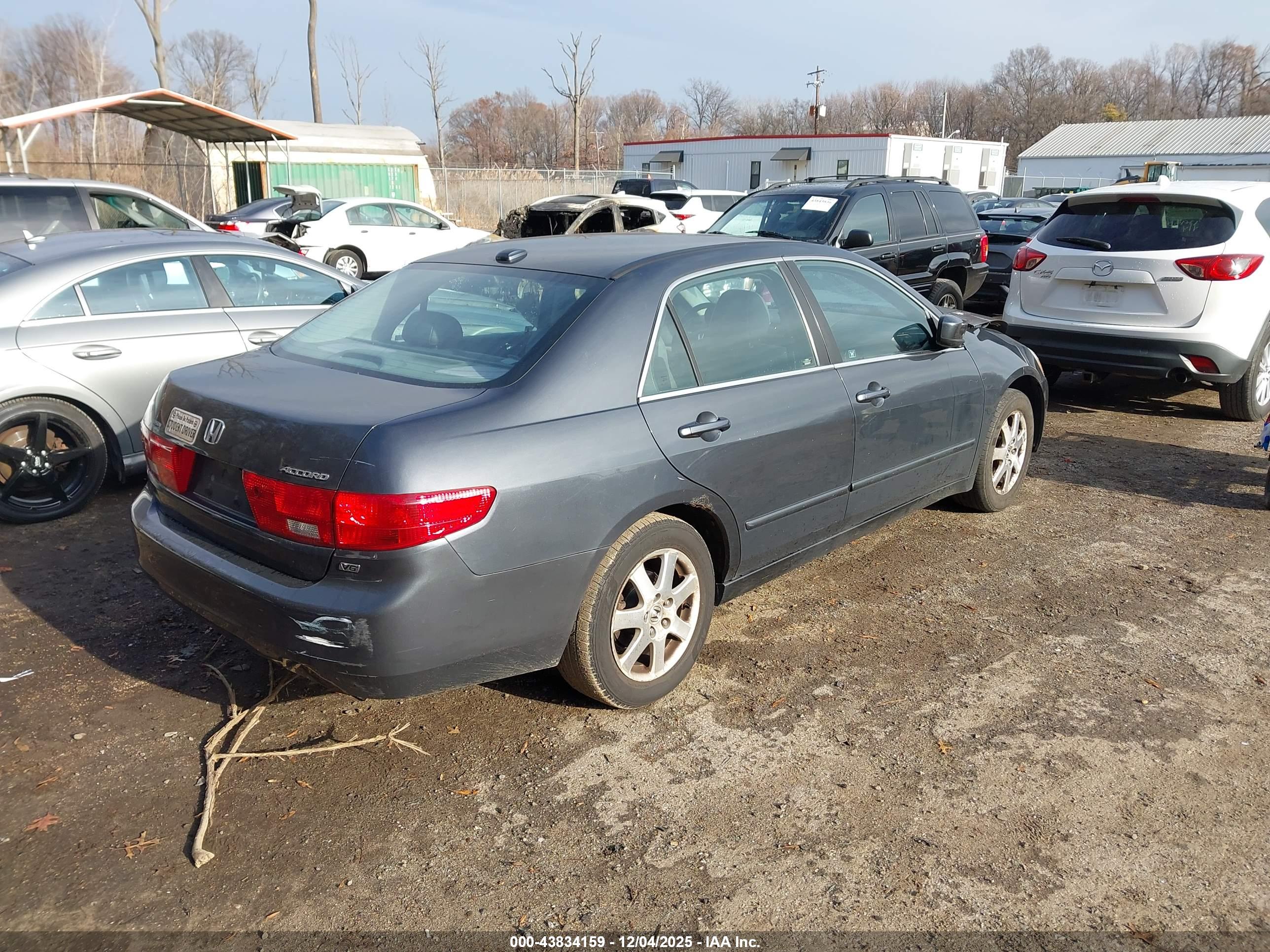 HONDA ACCORD image 4