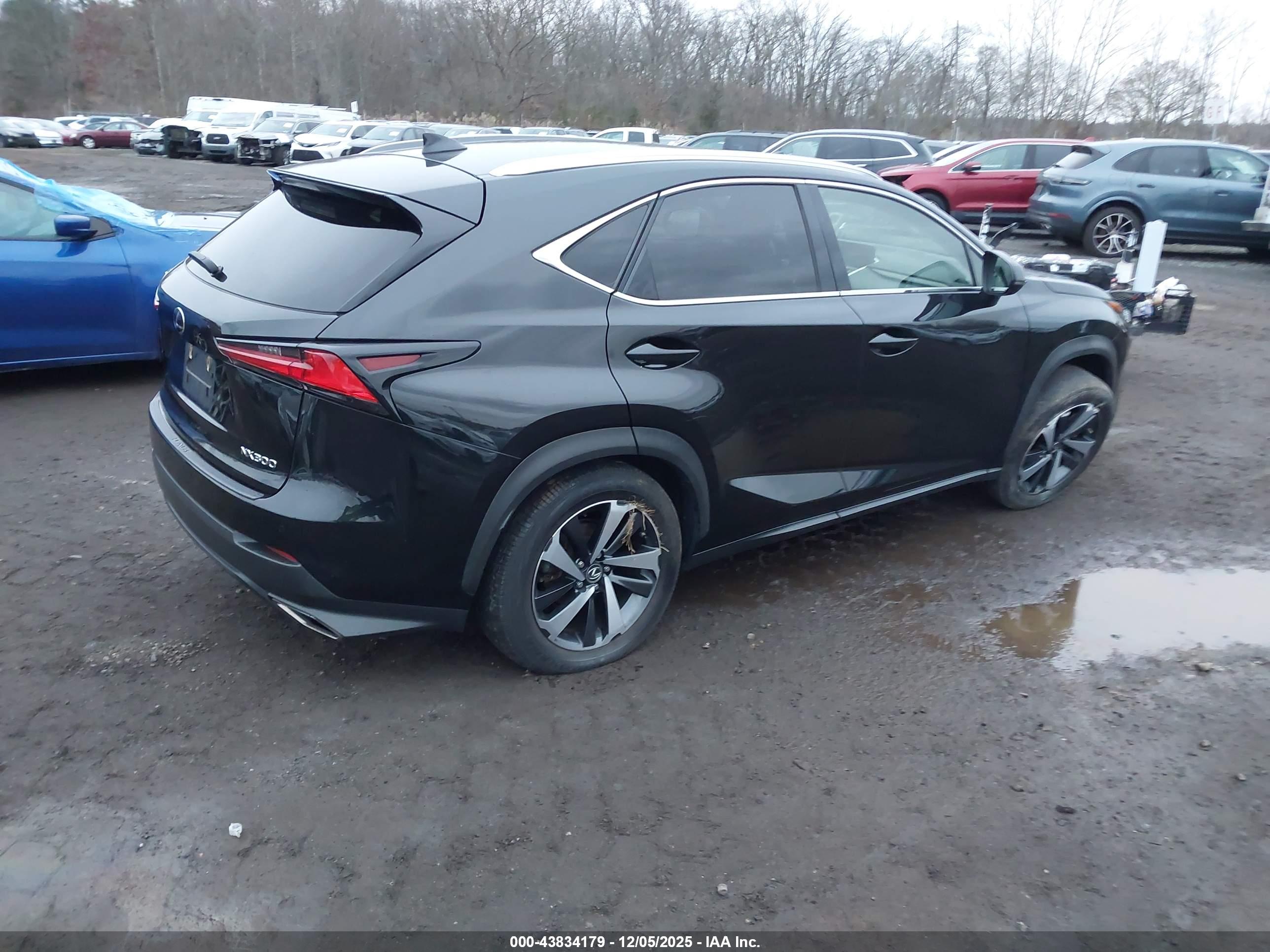 LEXUS NX image 4