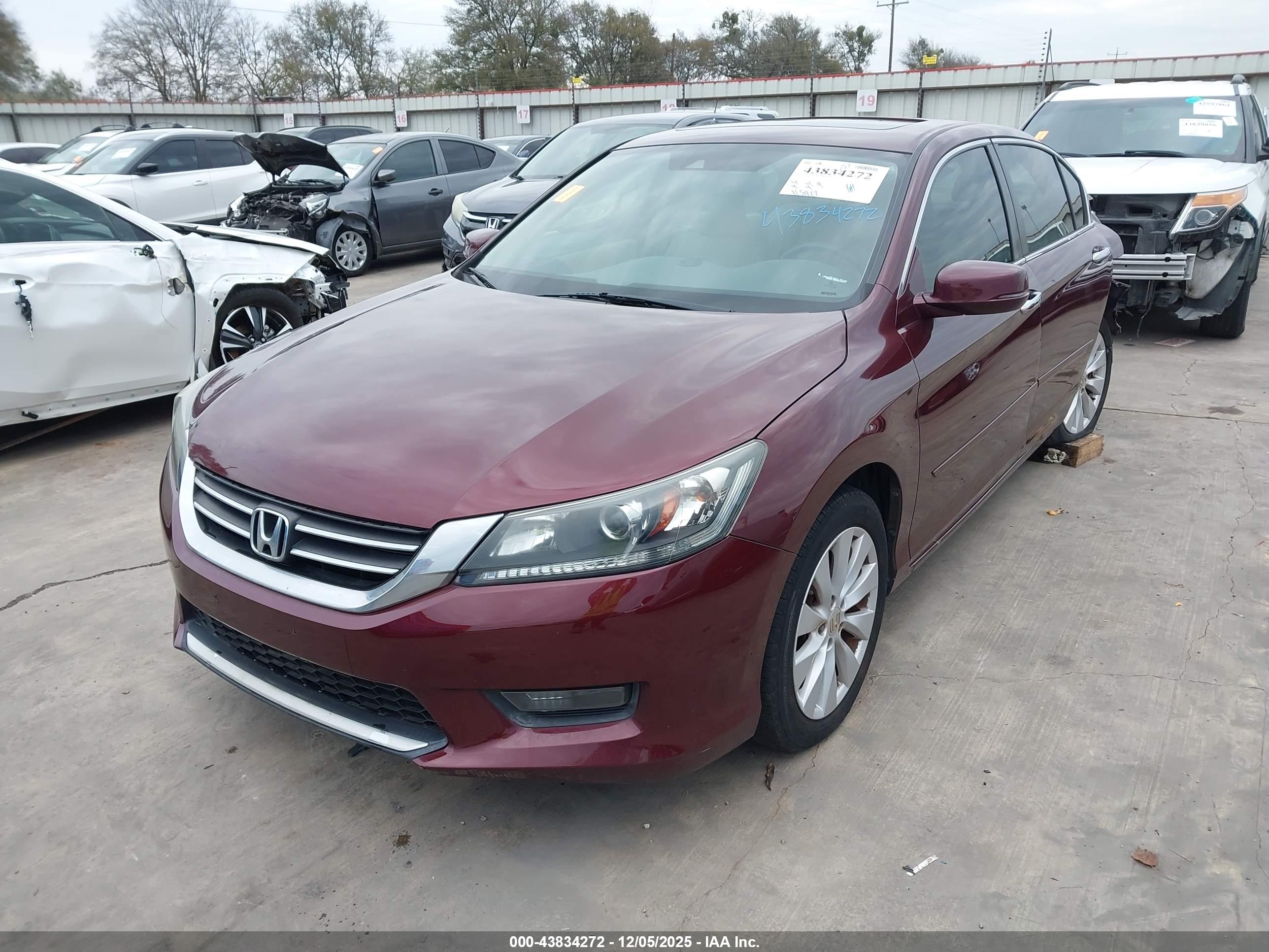 HONDA ACCORD image 2