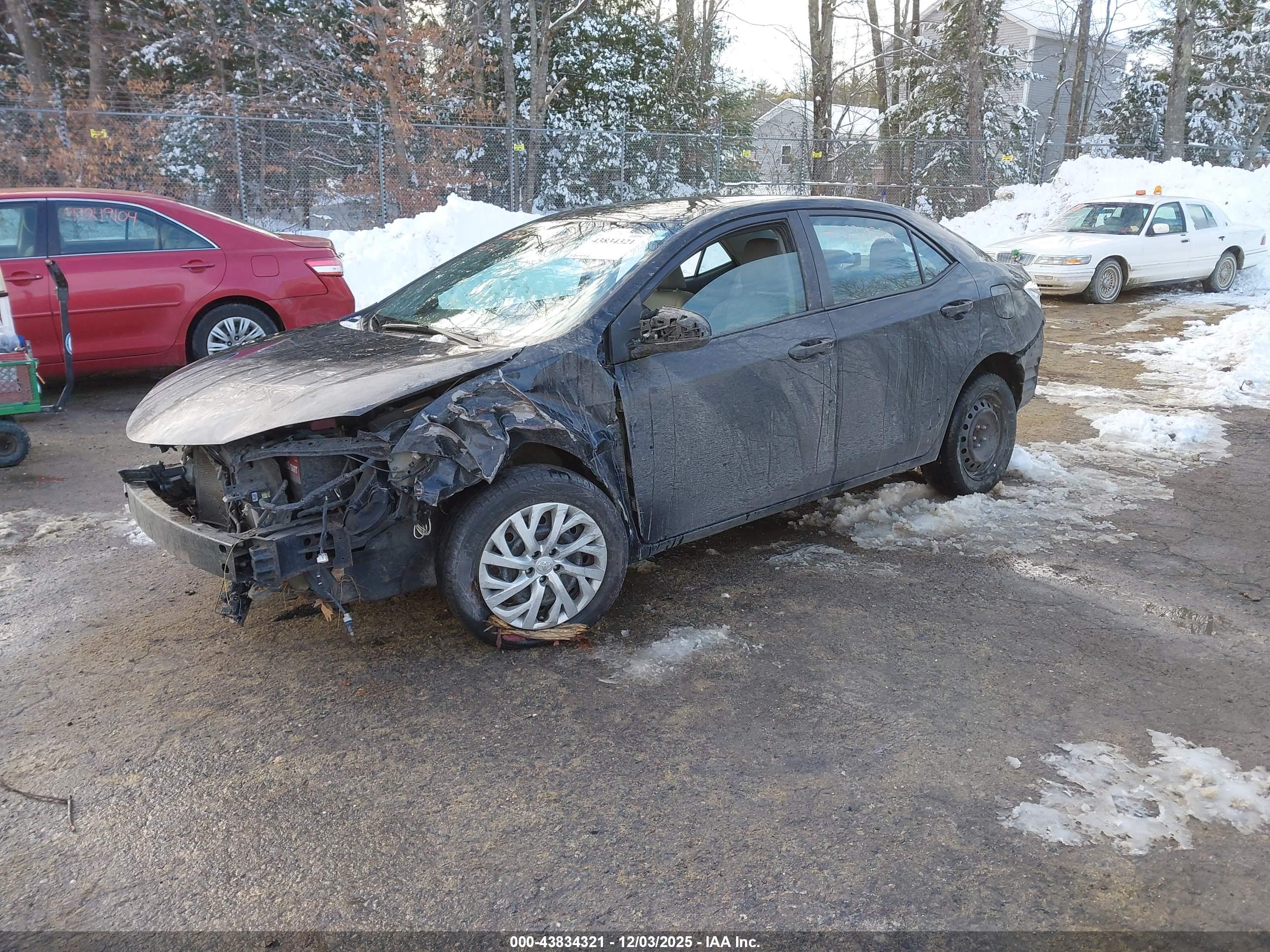 TOYOTA COROLLA image 2
