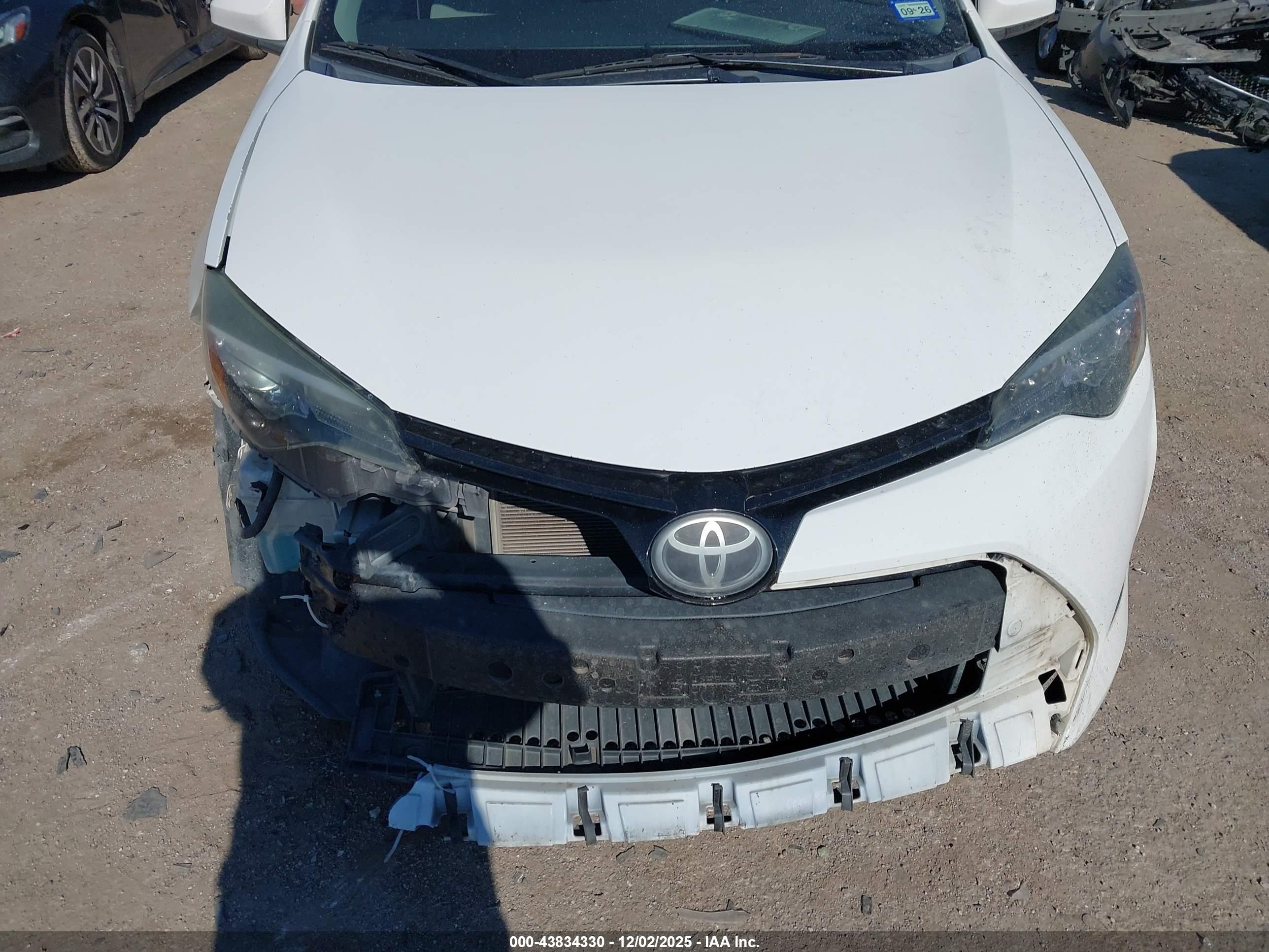 TOYOTA COROLLA image 6