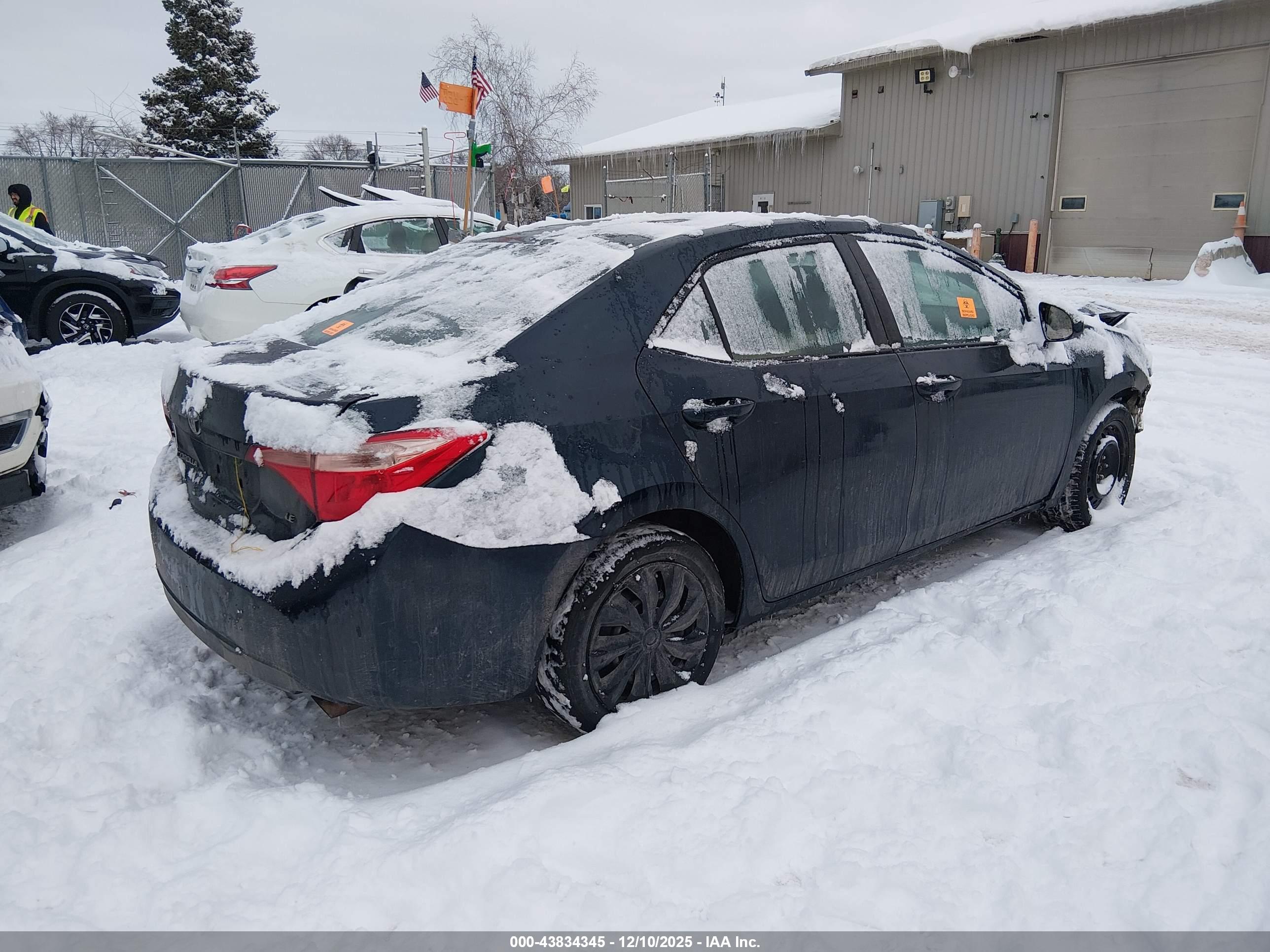 TOYOTA COROLLA image 4