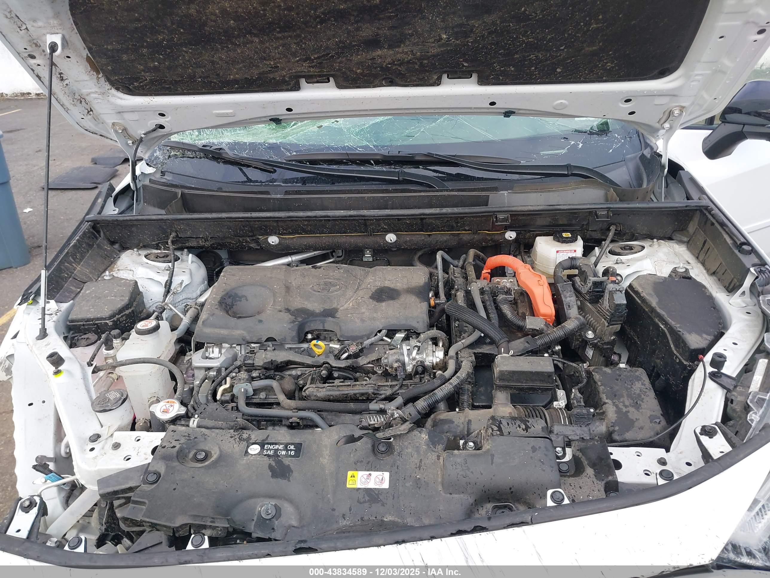 TOYOTA RAV4 image 10