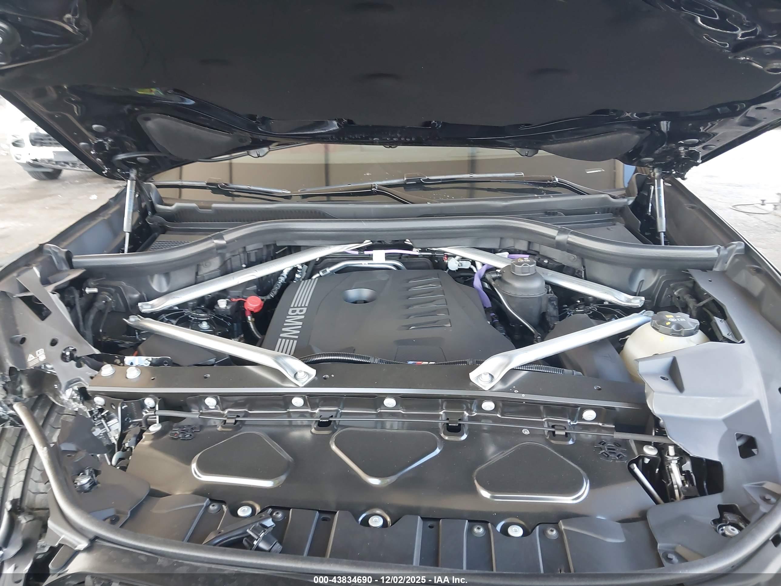 BMW X6 image 10