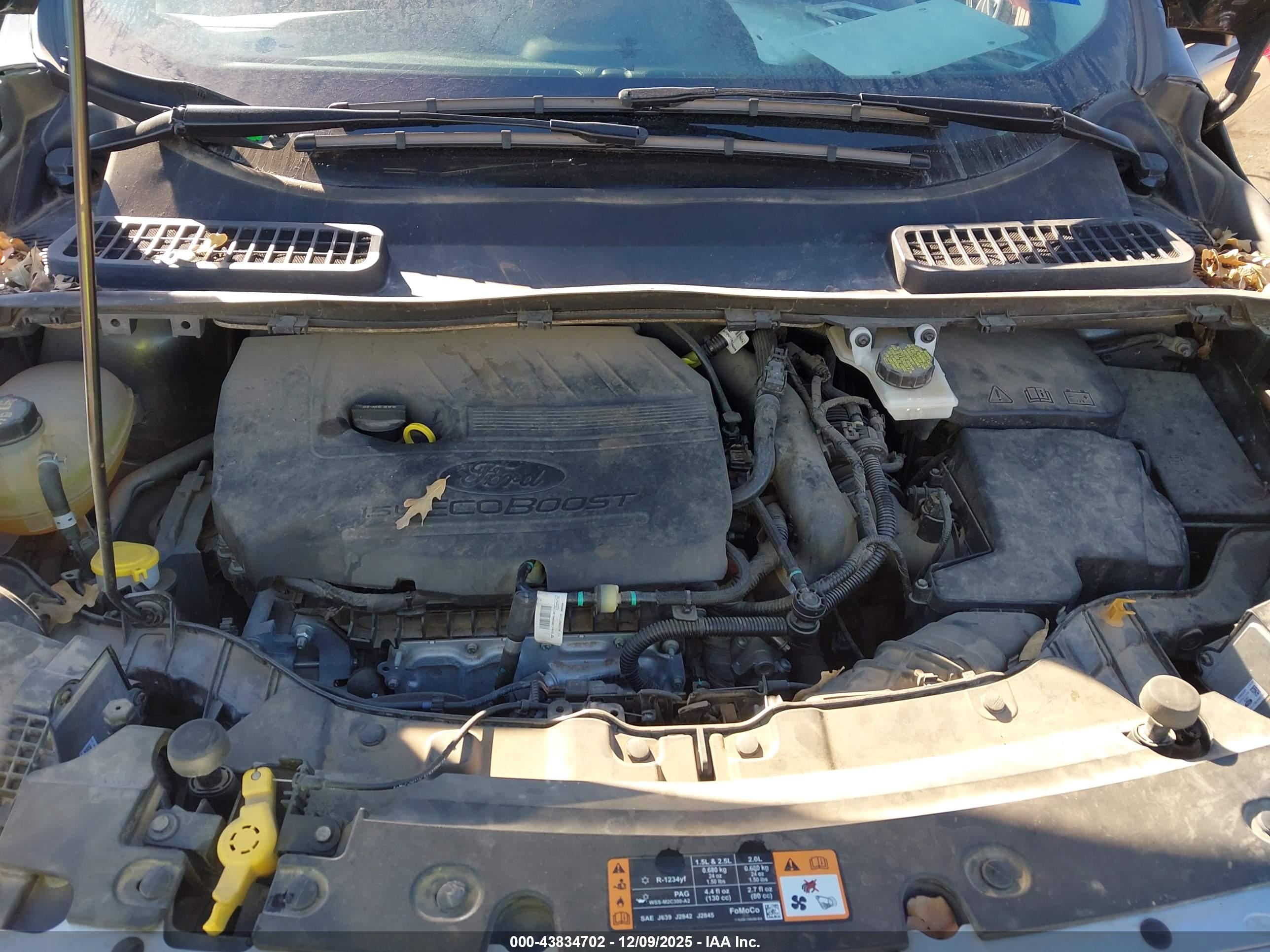 FORD ESCAPE image 10