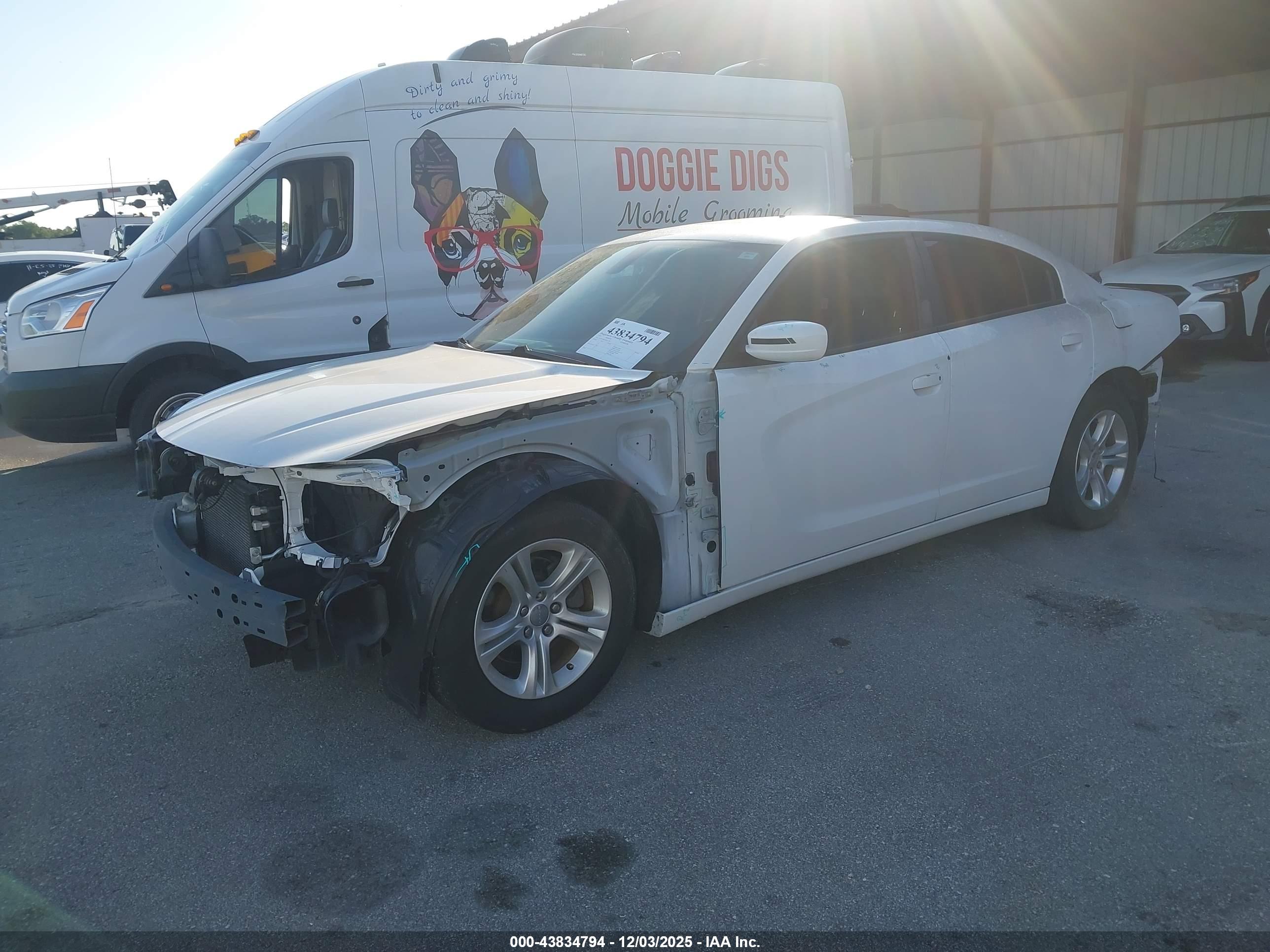 DODGE CHARGER image 2