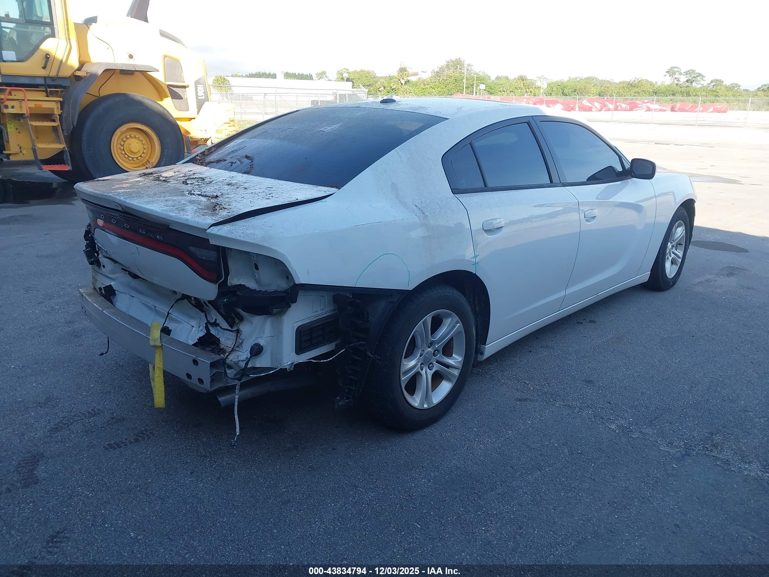 DODGE CHARGER image 4