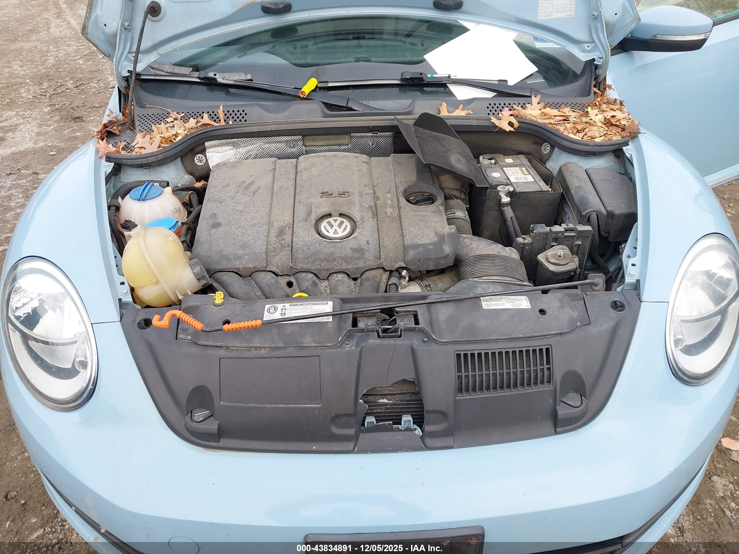 VOLKSWAGEN BEETLE image 10