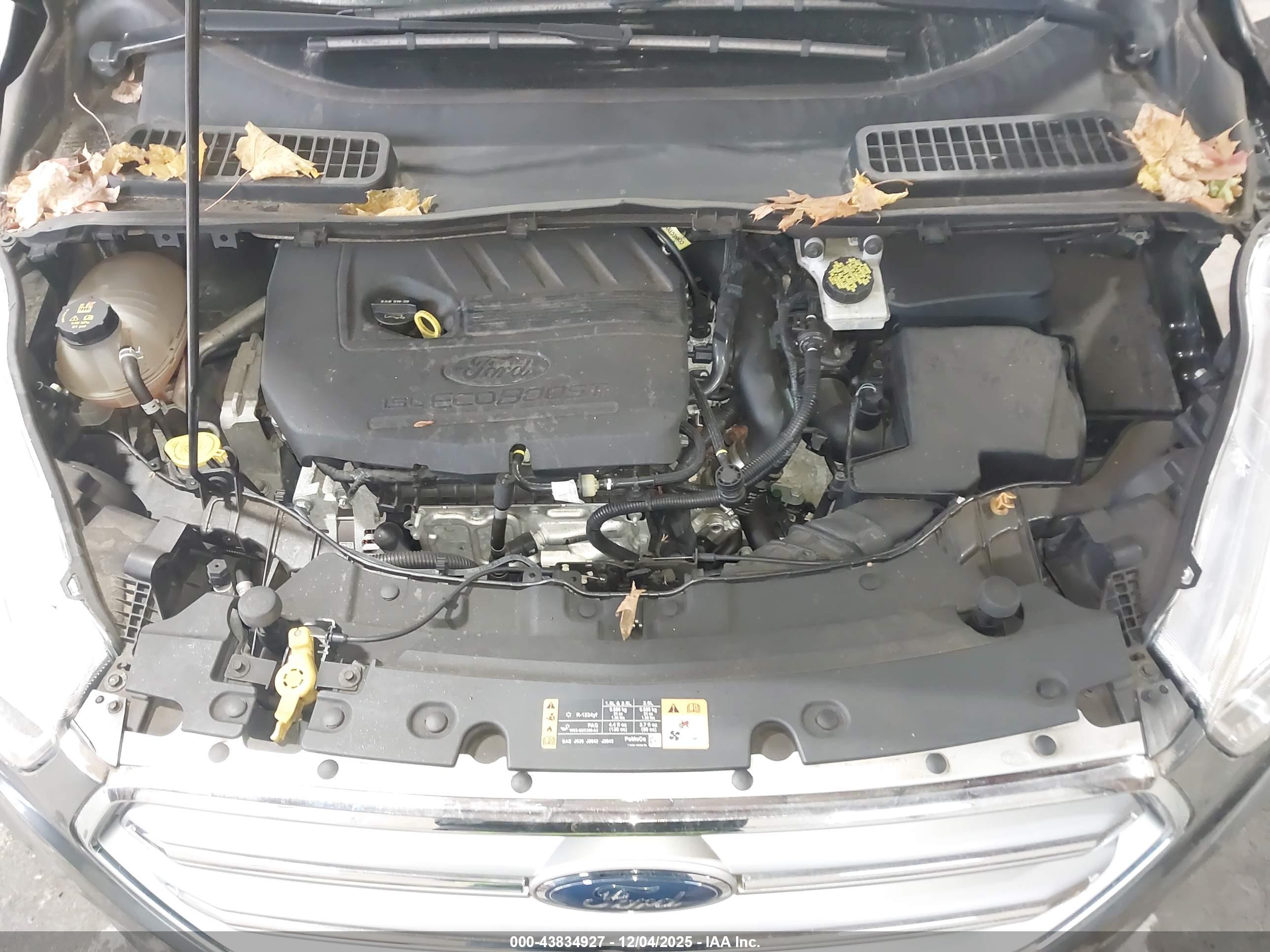 FORD ESCAPE image 10