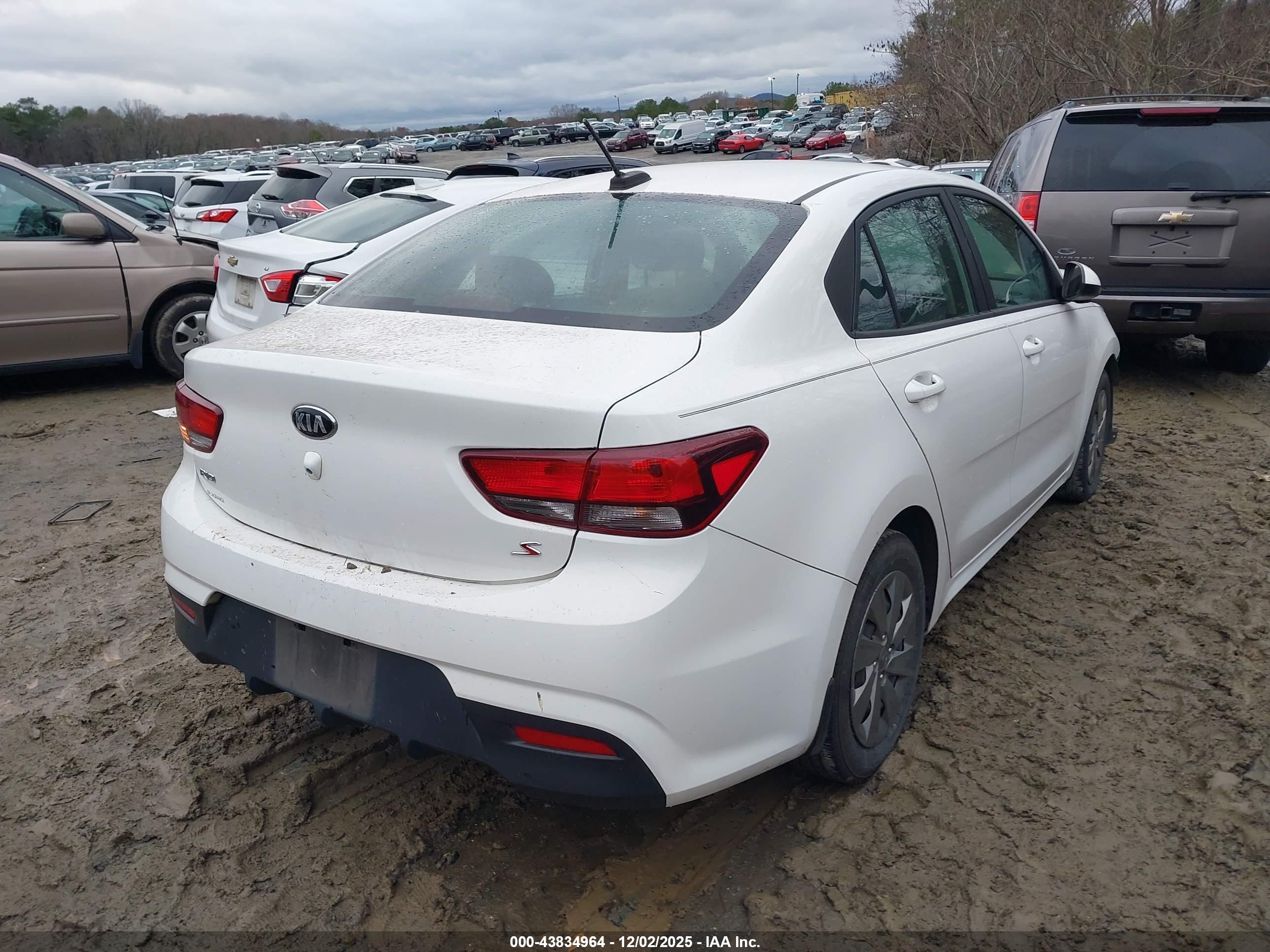 KIA RIO image 4