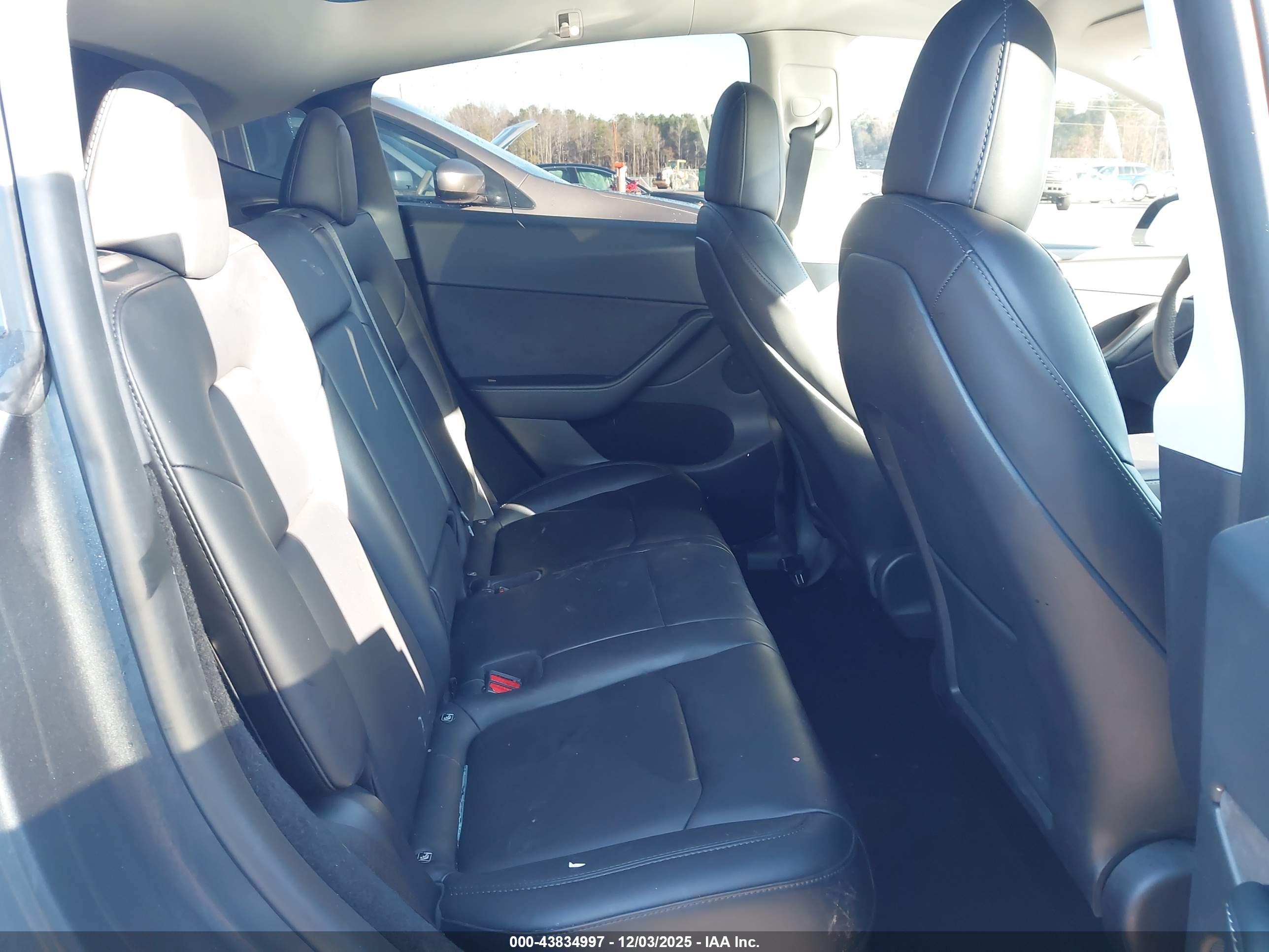 TESLA MODEL image 8