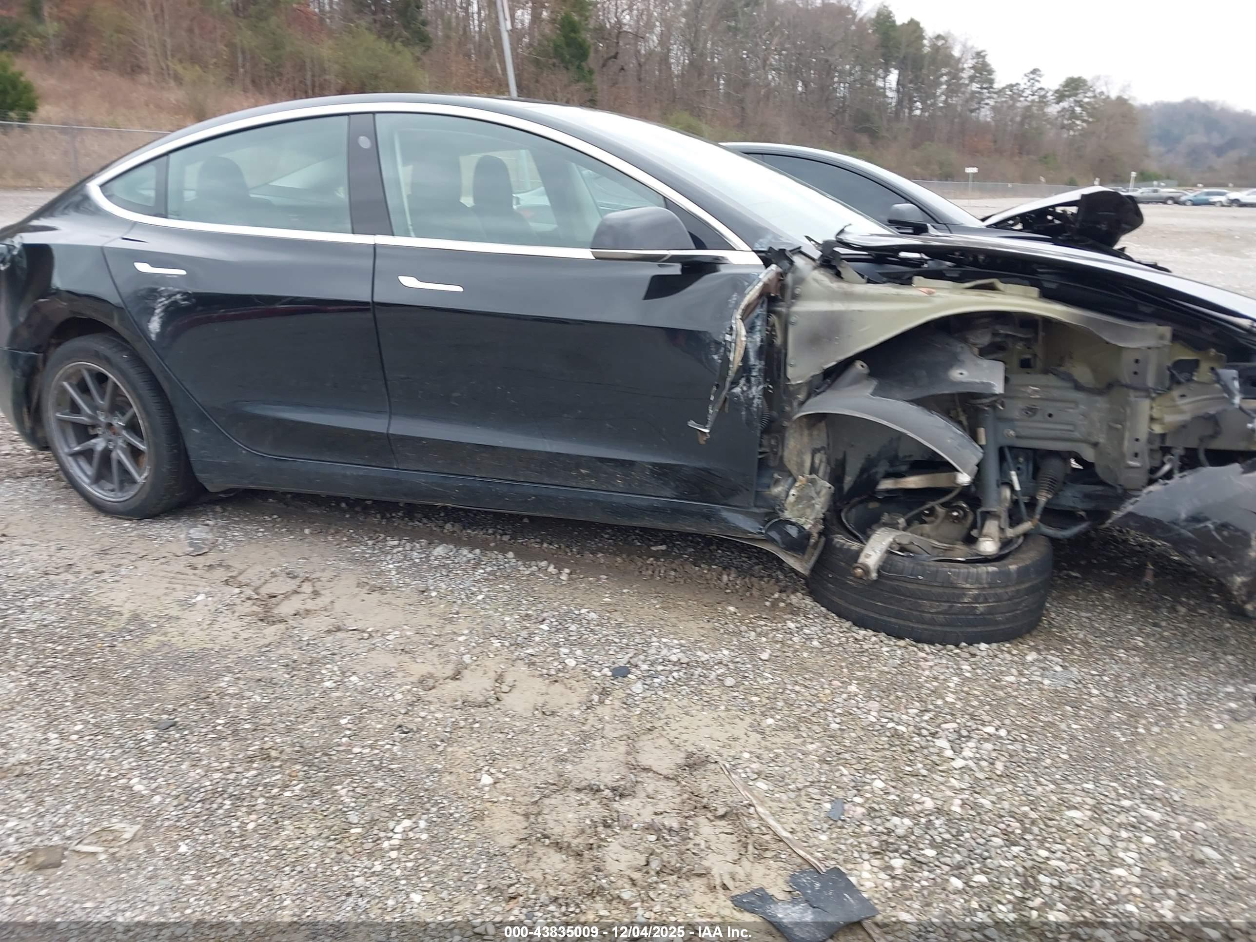 TESLA MODEL image 6