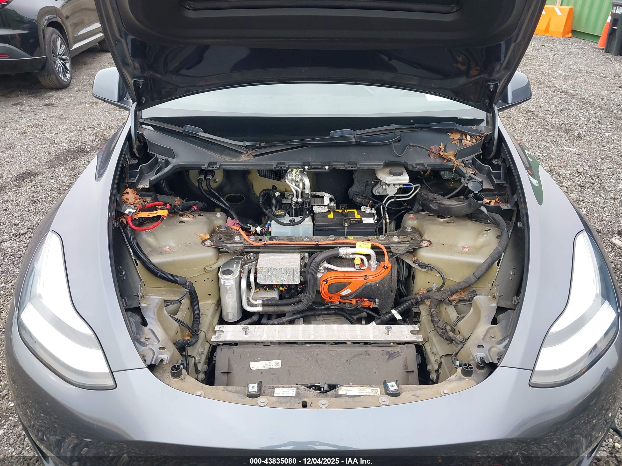 TESLA MODEL image 10