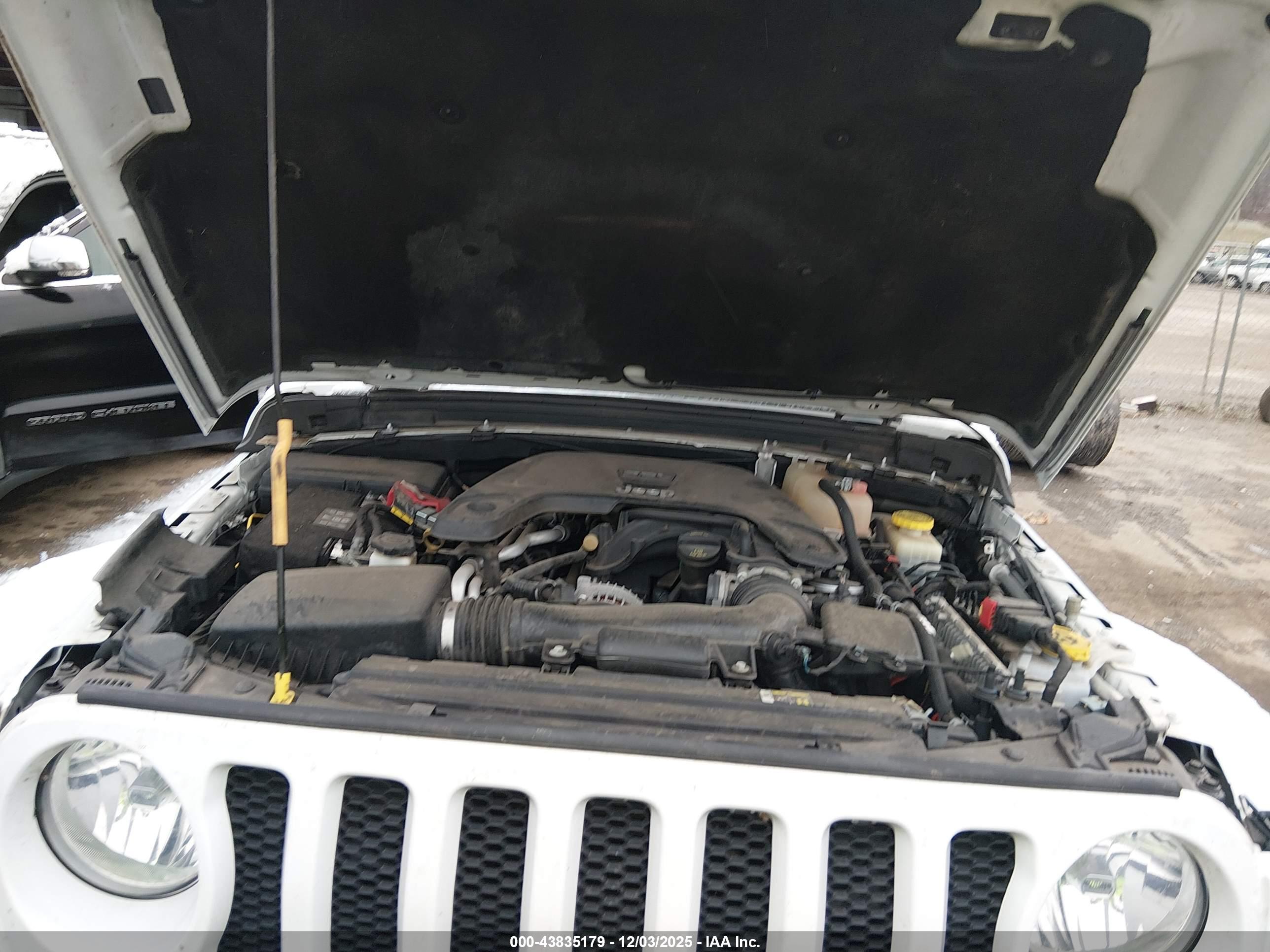 JEEP WRANGLER image 10