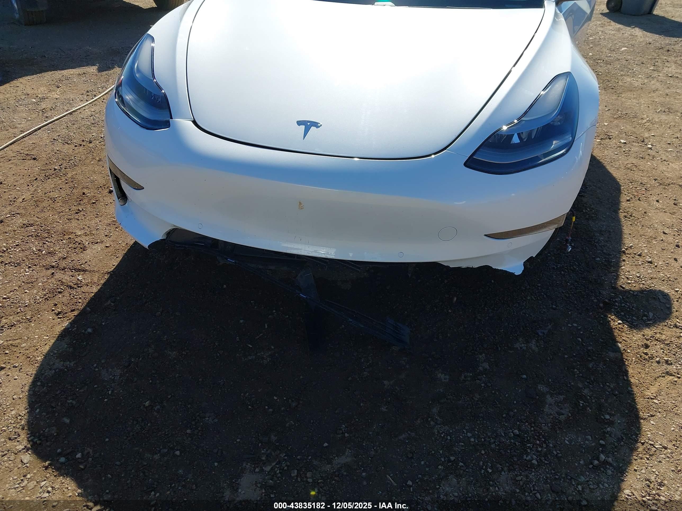 TESLA MODEL image 6