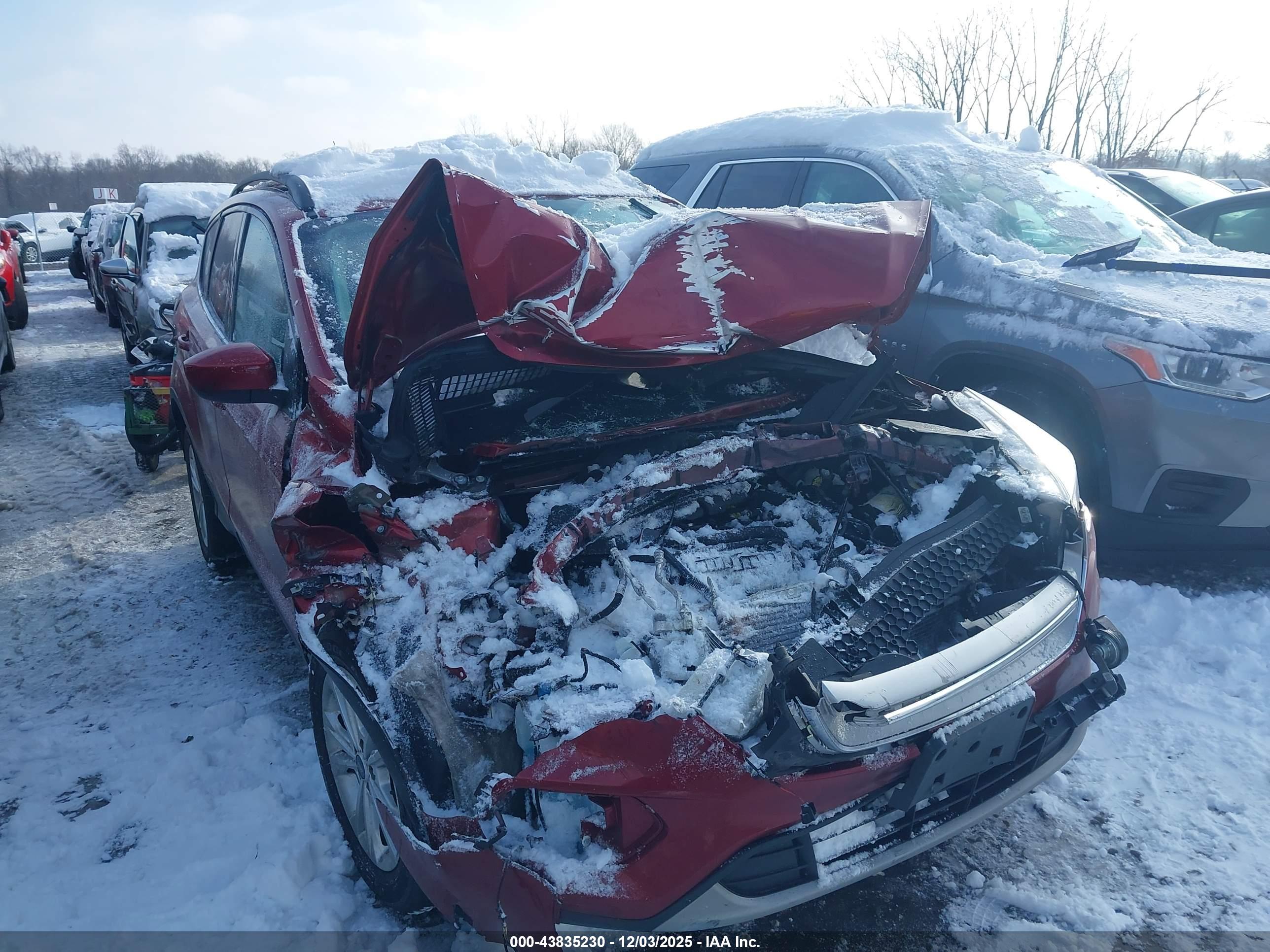 FORD ESCAPE image 6