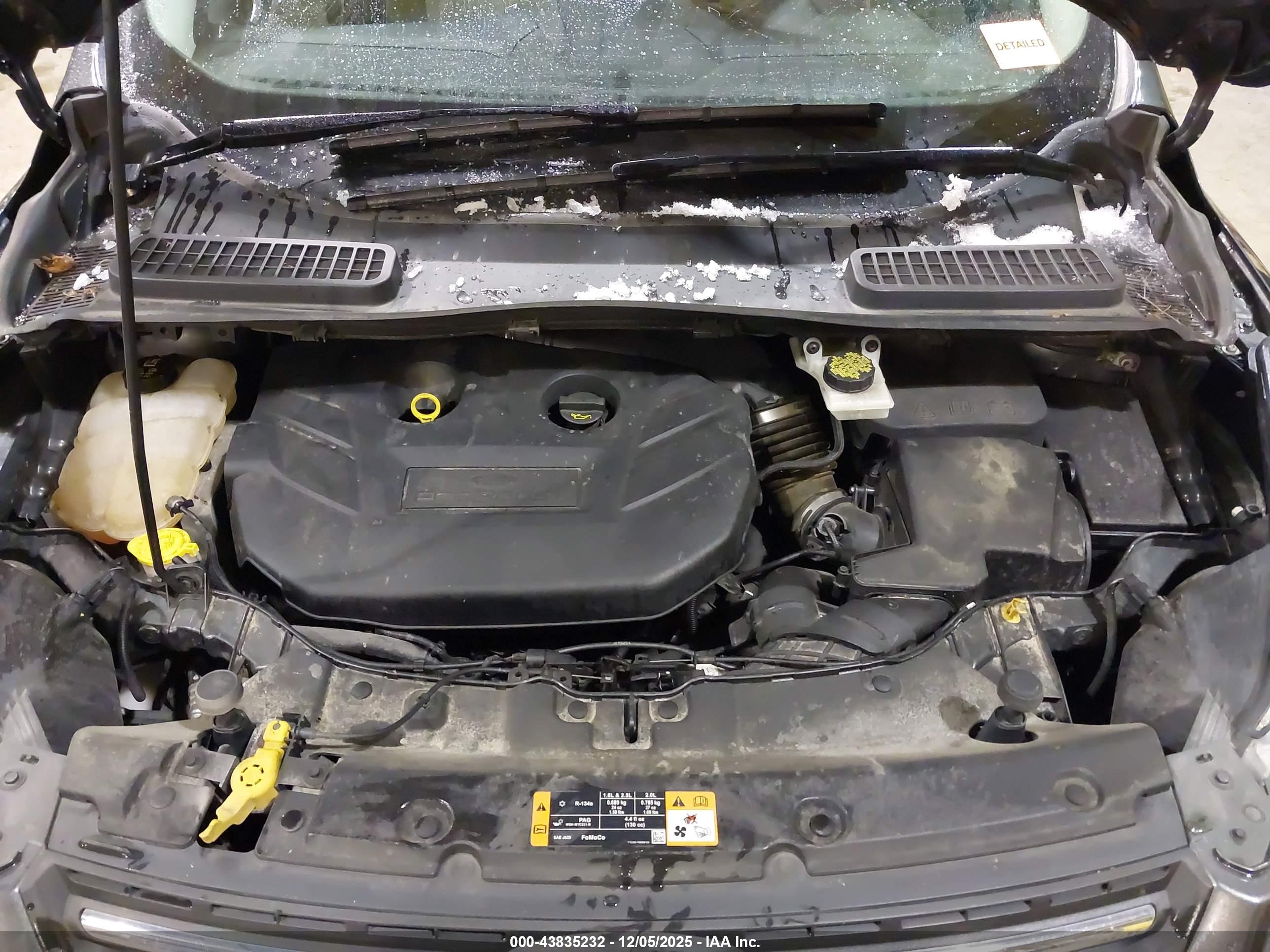 FORD ESCAPE image 10
