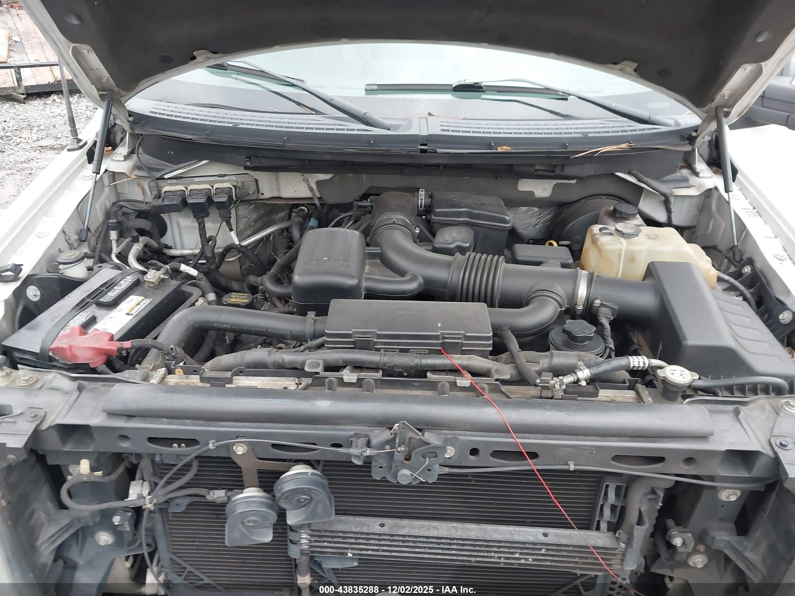 FORD F-150 image 10