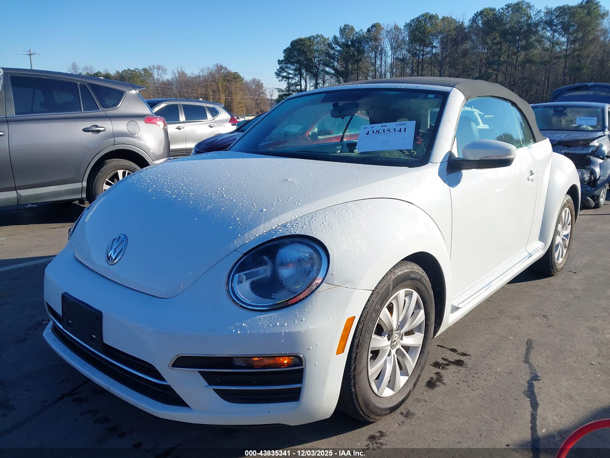 VOLKSWAGEN BEETLE image 2