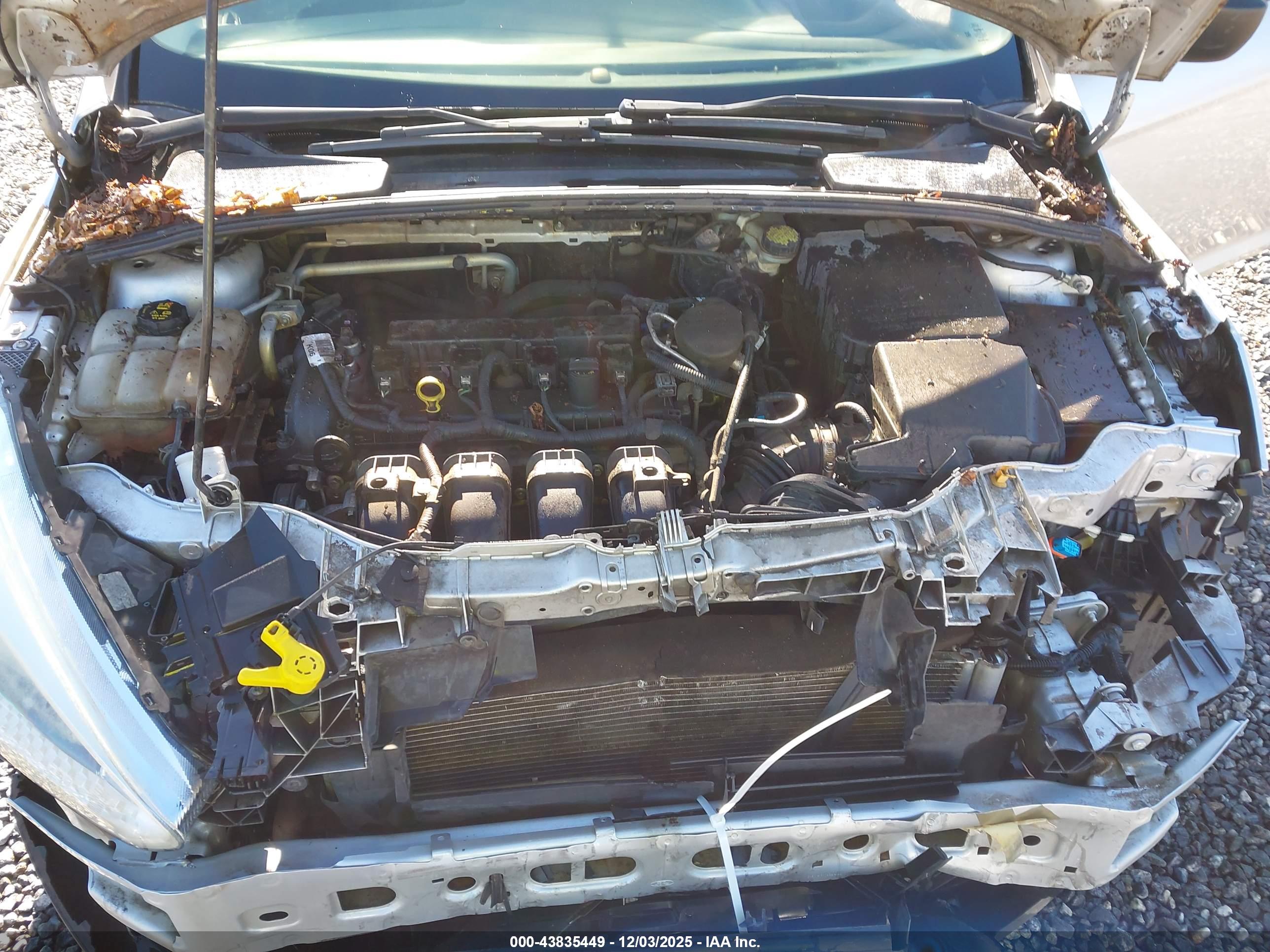 FORD FOCUS image 10