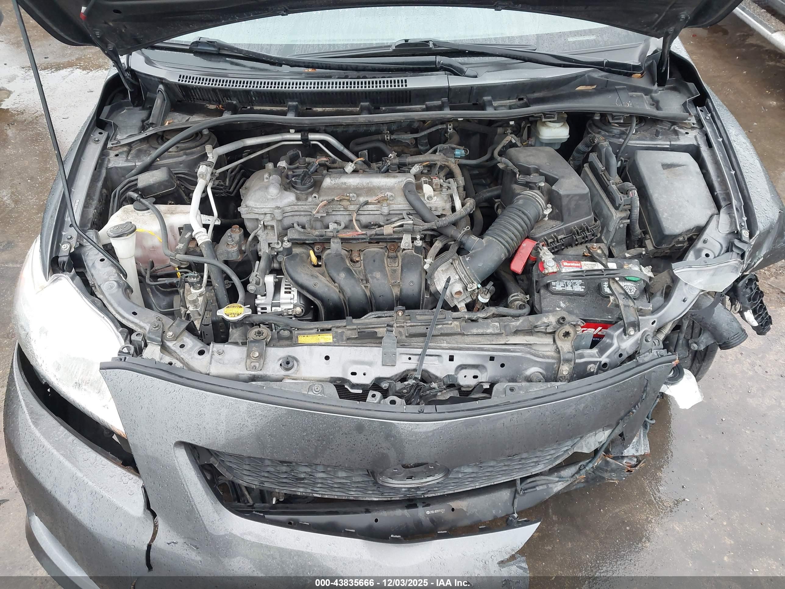 TOYOTA COROLLA image 10