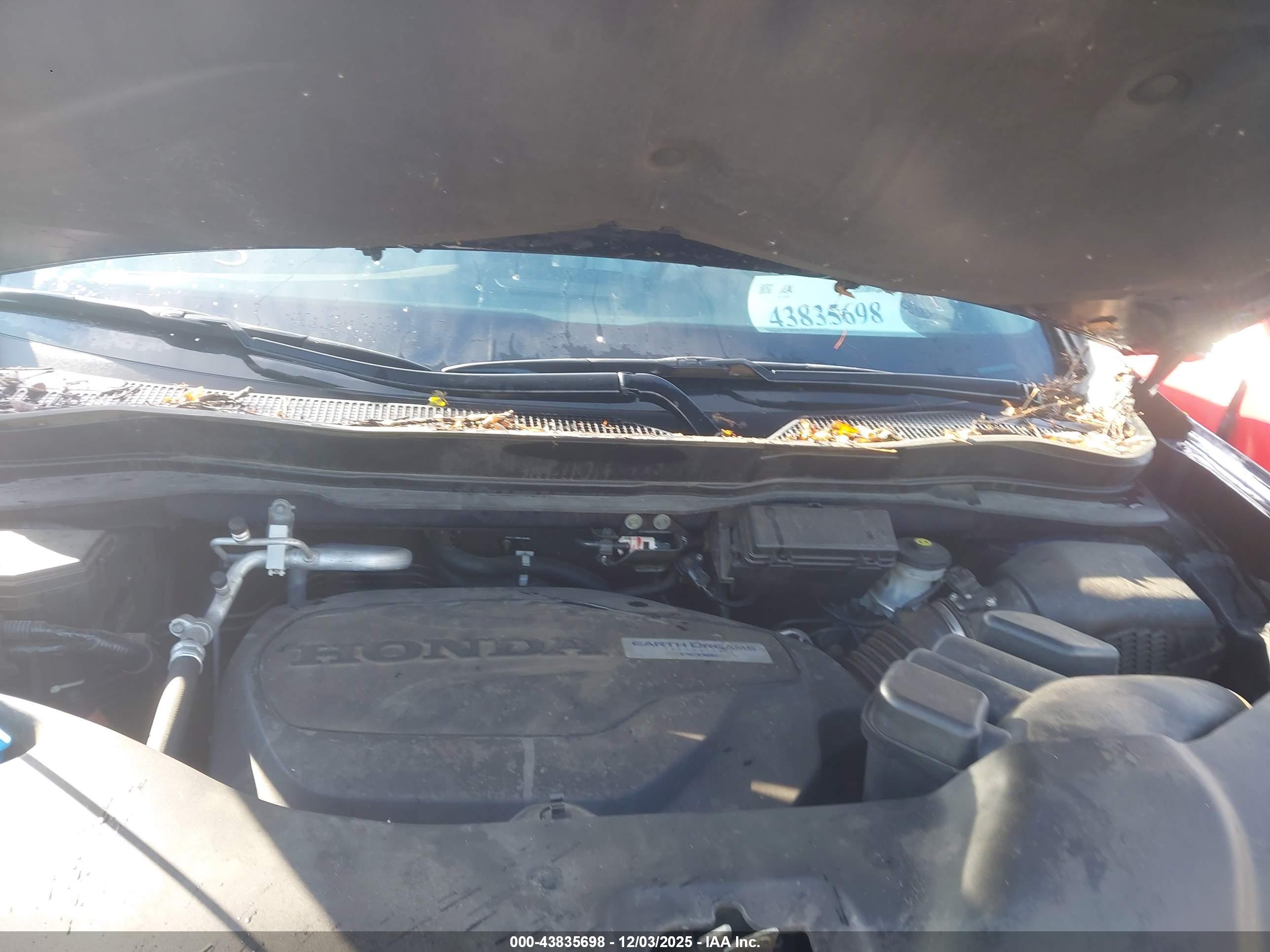 HONDA PASSPORT image 10
