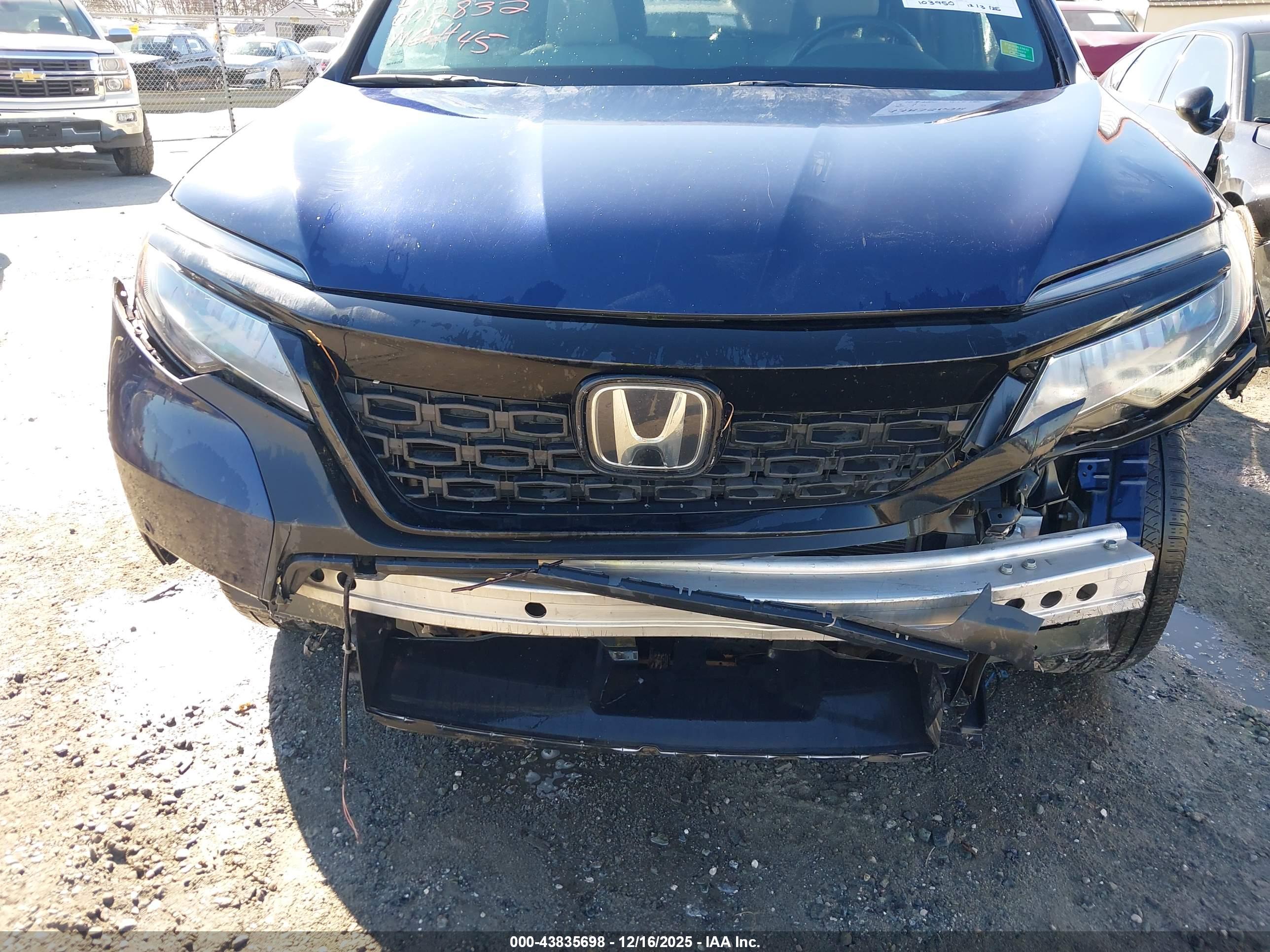 HONDA PASSPORT image 6
