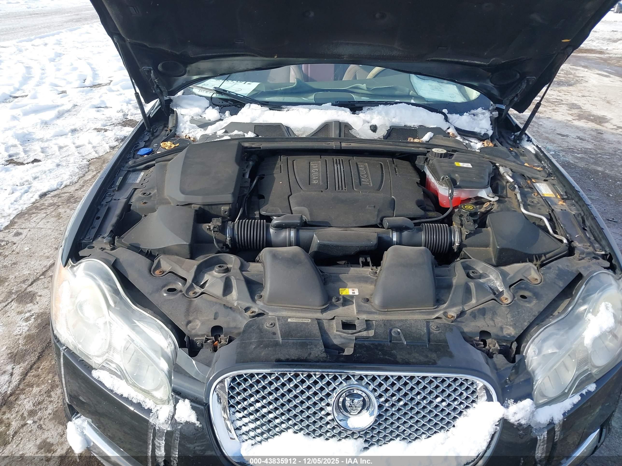 JAGUAR XF image 10
