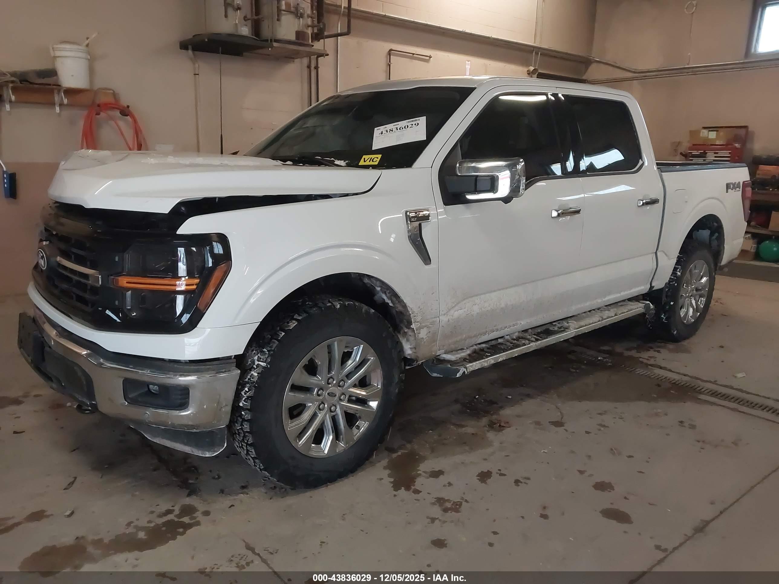 FORD F-150 image 2
