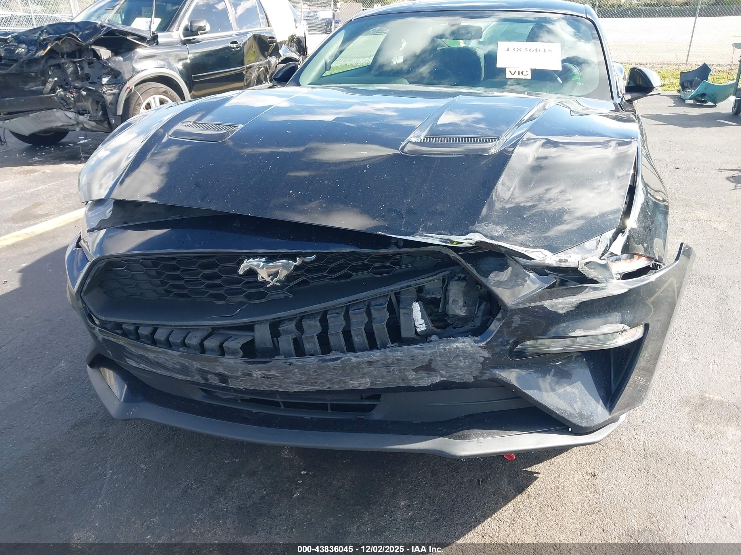 FORD MUSTANG image 6