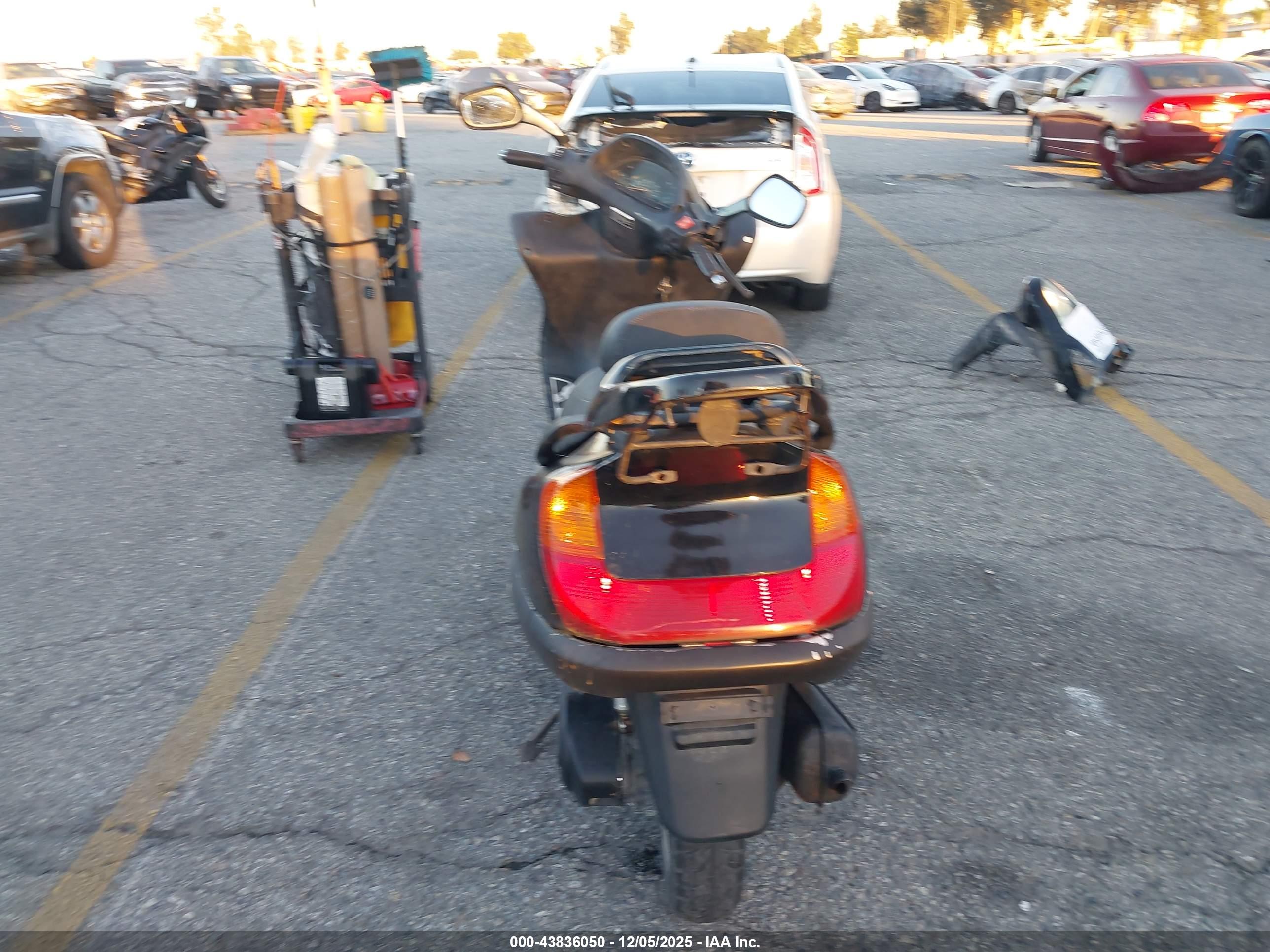 TANK SPORTS image 6