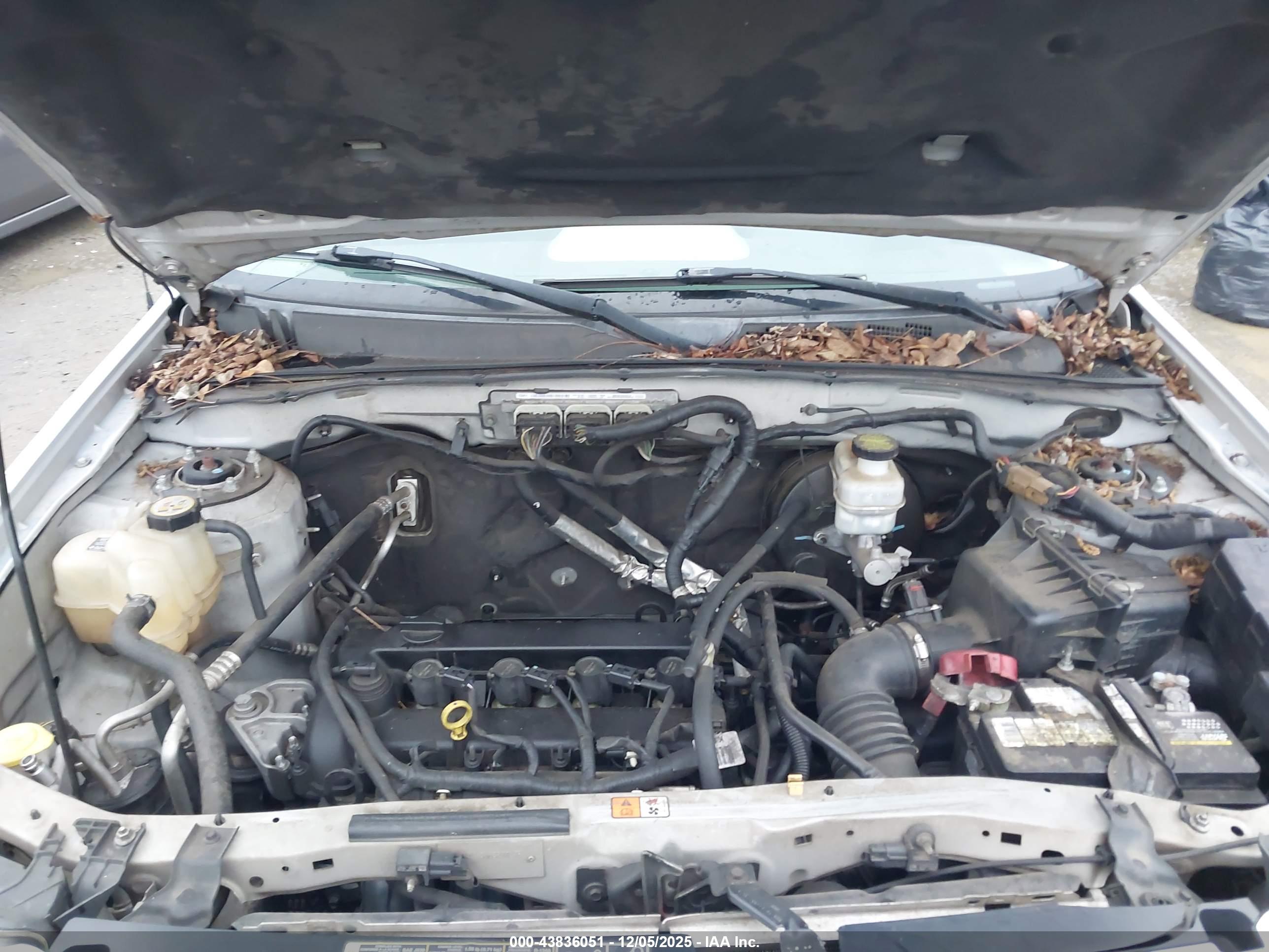 FORD ESCAPE image 10