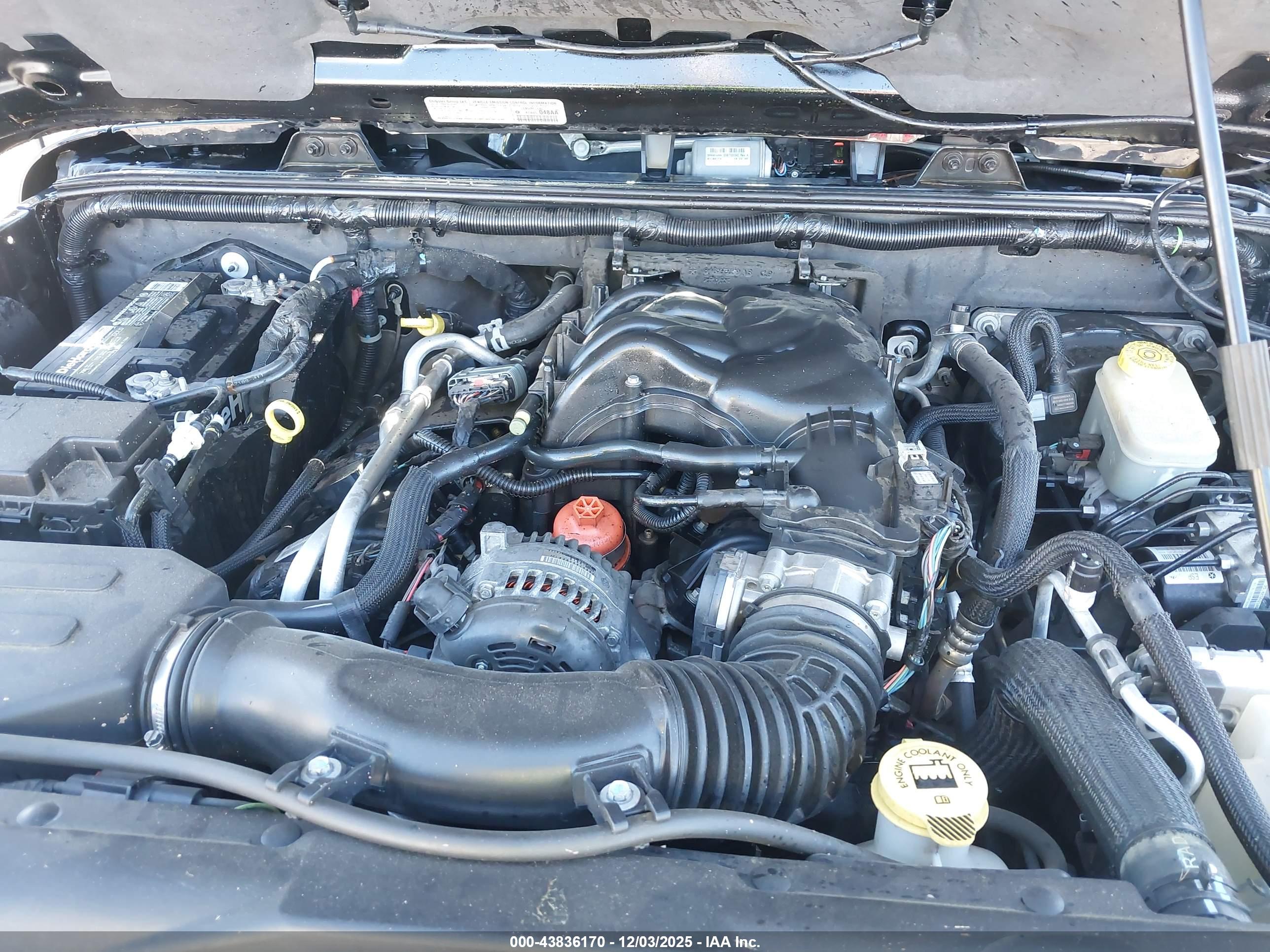 JEEP WRANGLER image 10