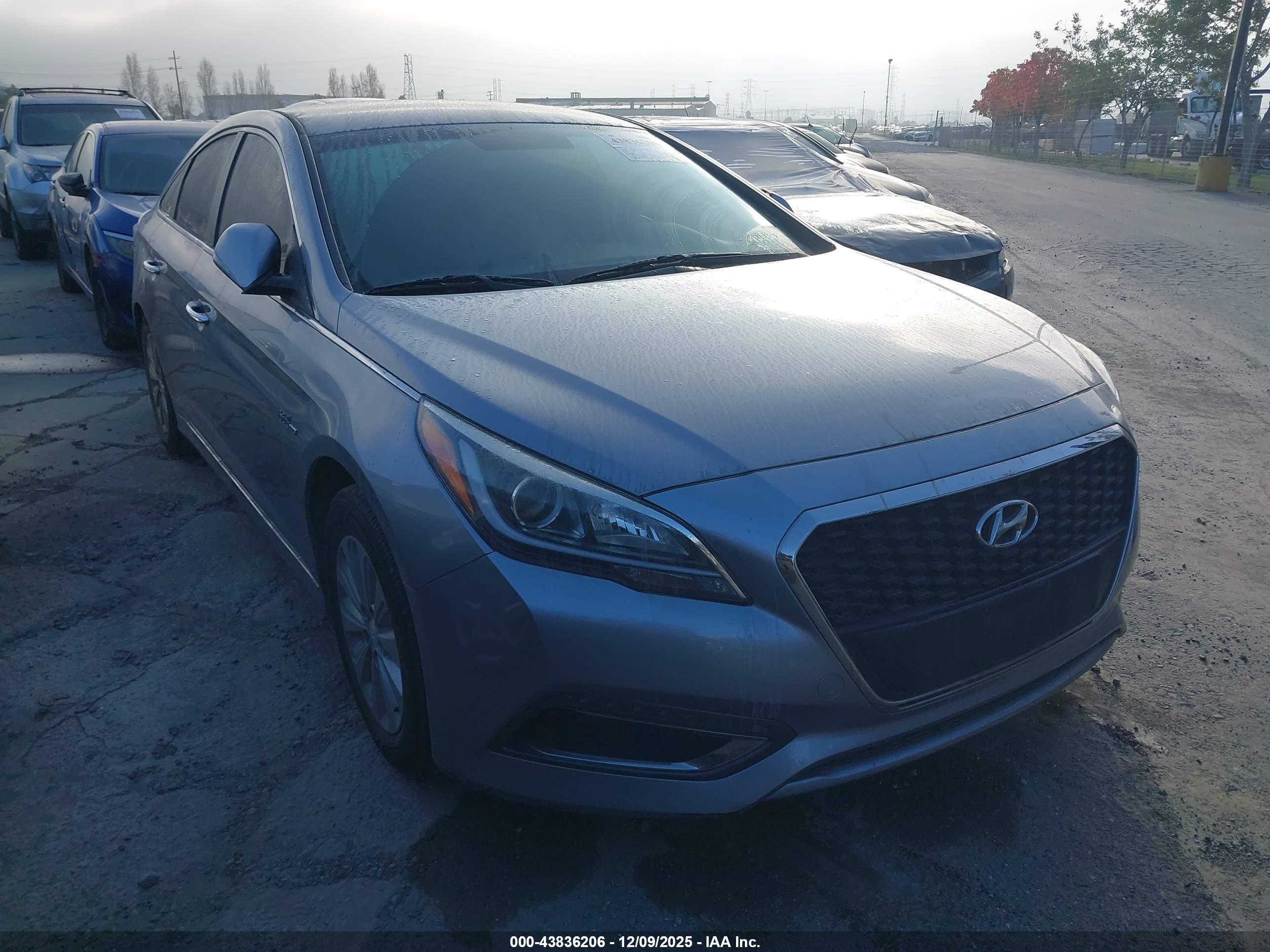 HYUNDAI SONATA image 6