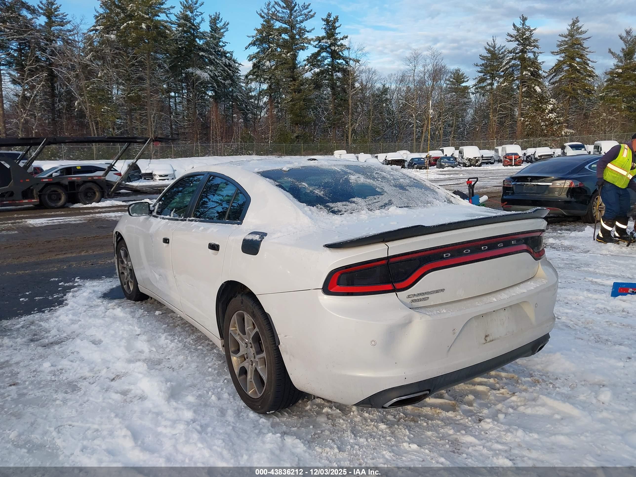 DODGE CHARGER image 3