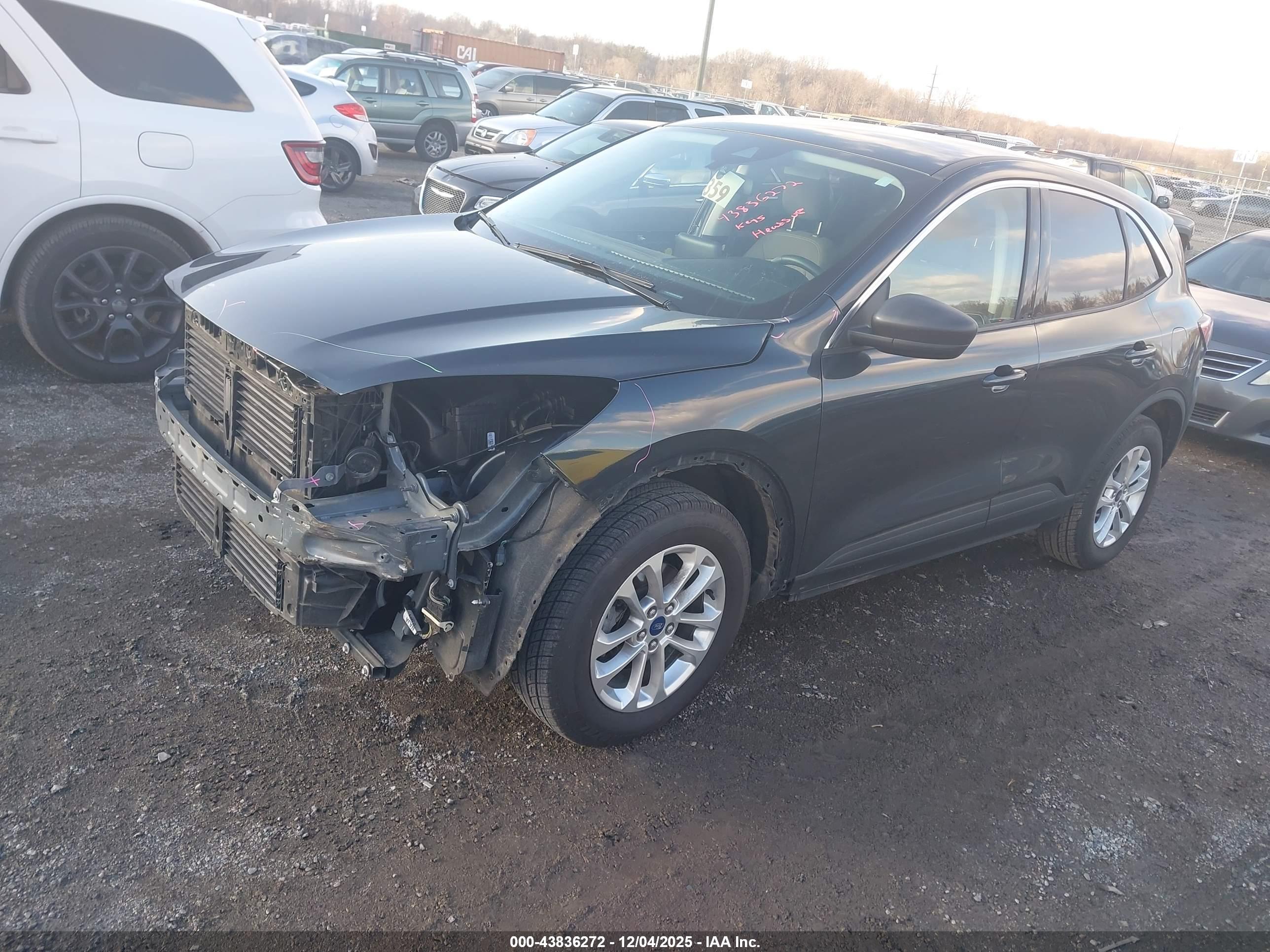 FORD ESCAPE image 2