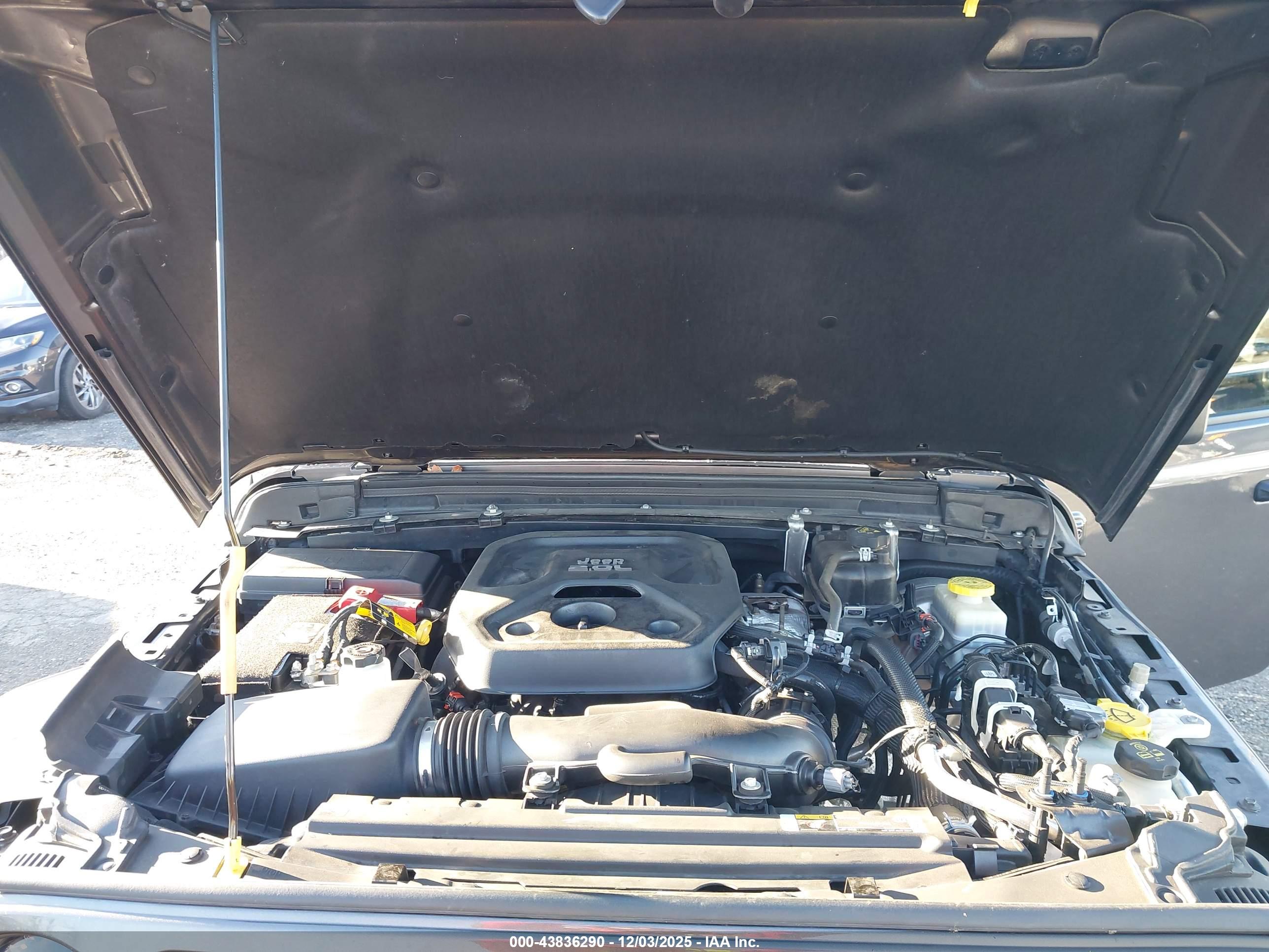 JEEP WRANGLER image 10